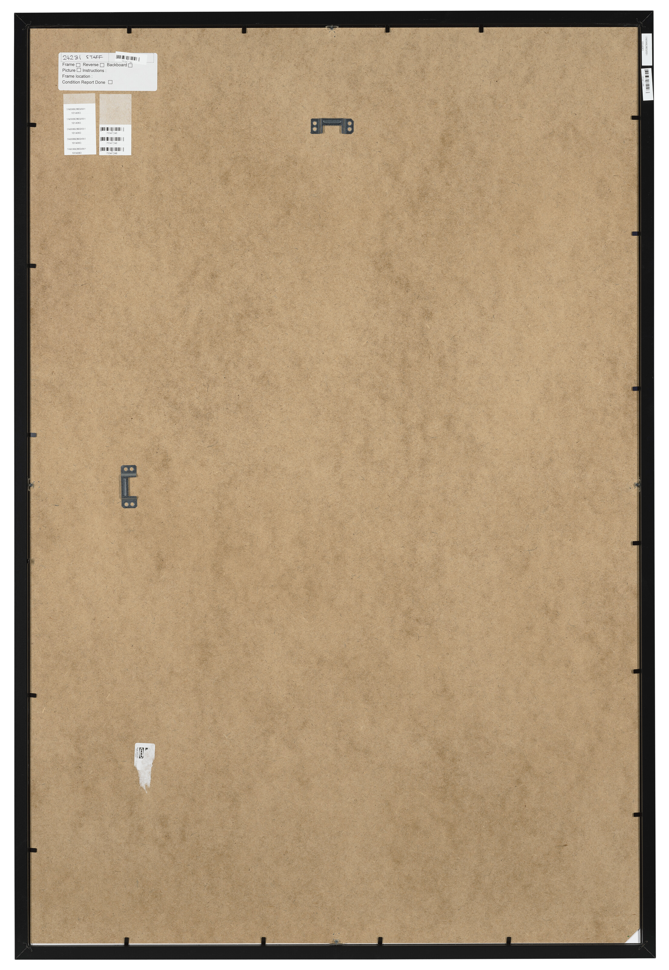 EVIE LOUISE JOHNSON image 2