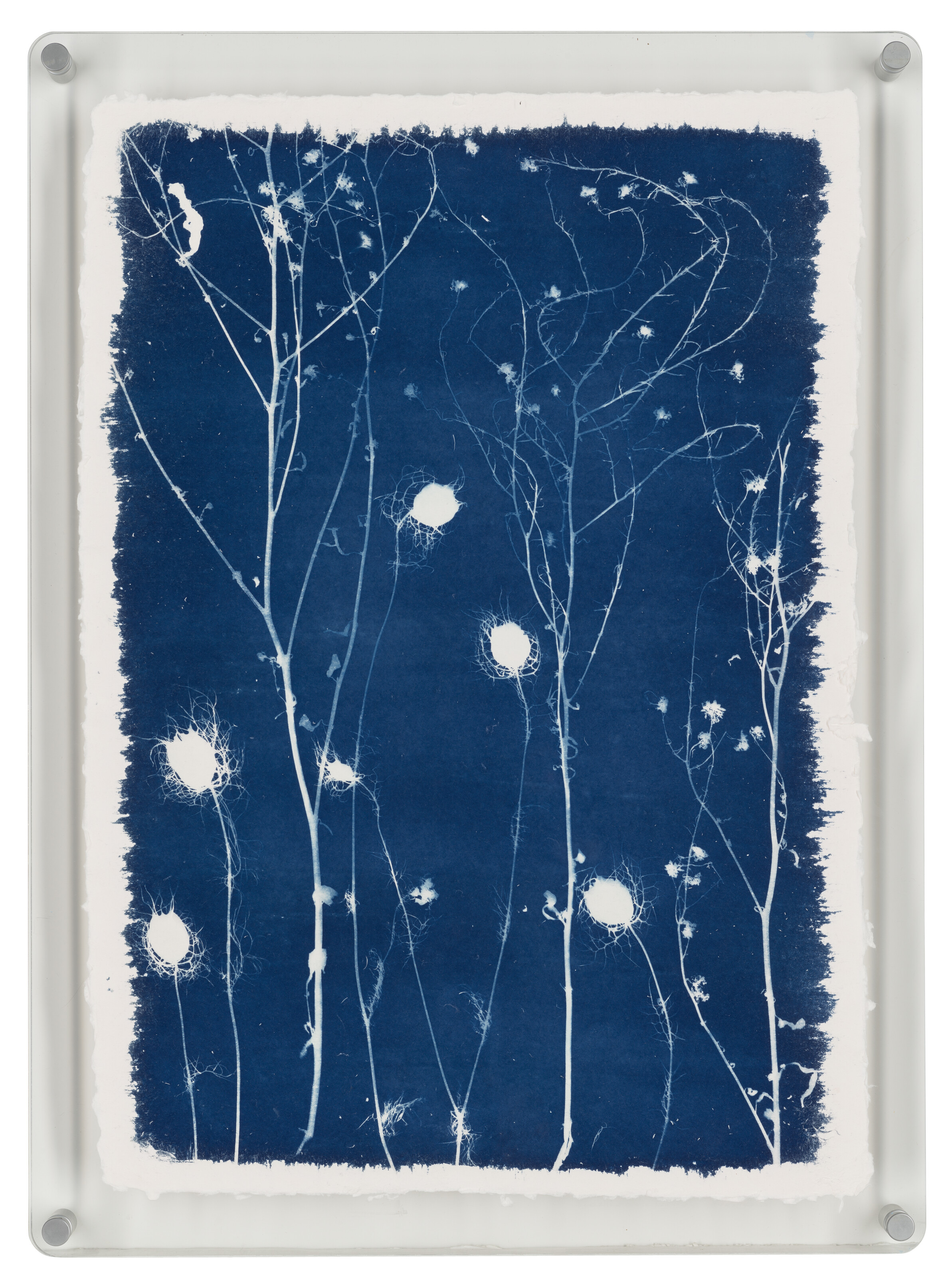 ANASTASIA LEBEDEV image 6