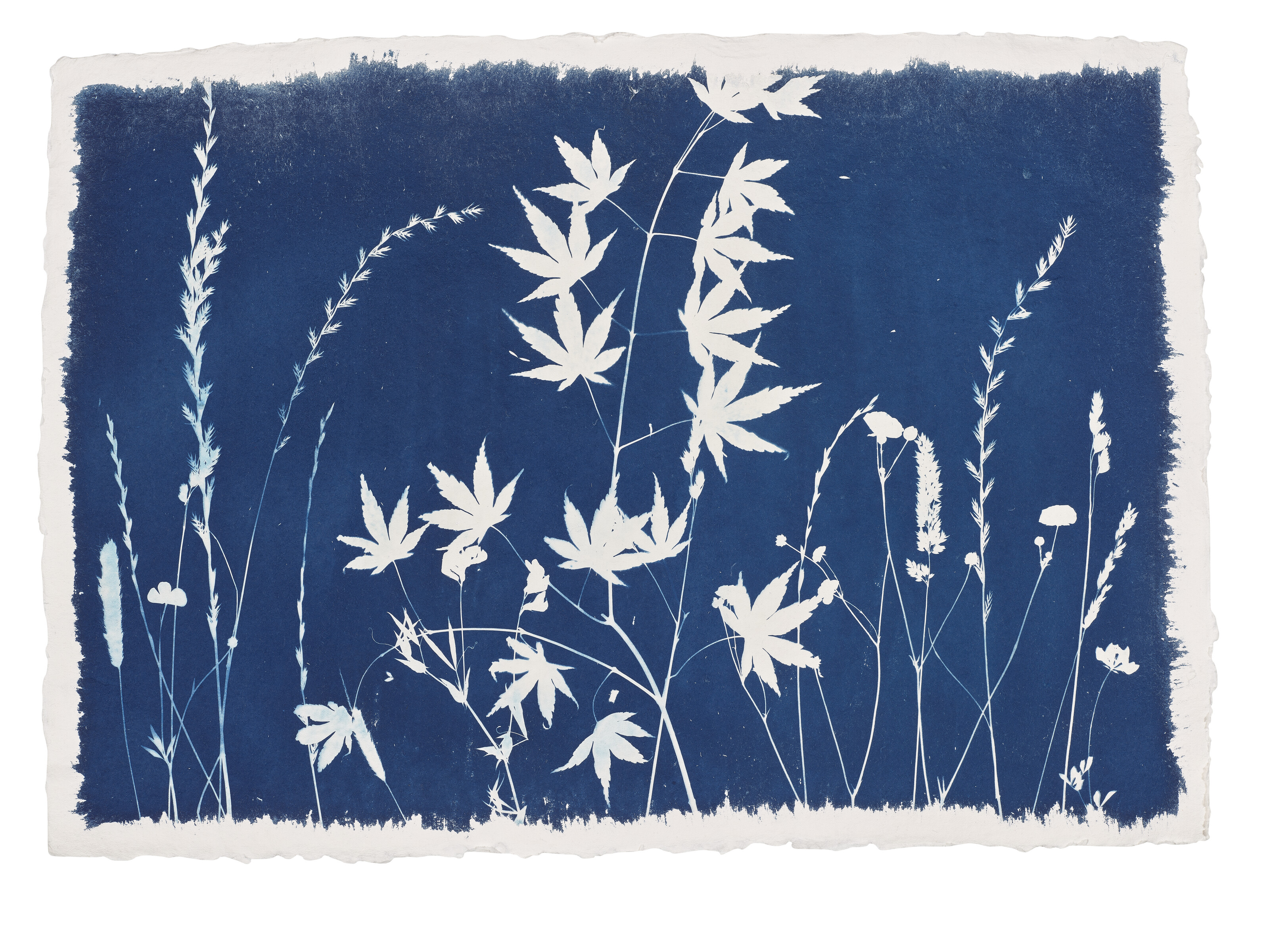 ANASTASIA LEBEDEV image 2