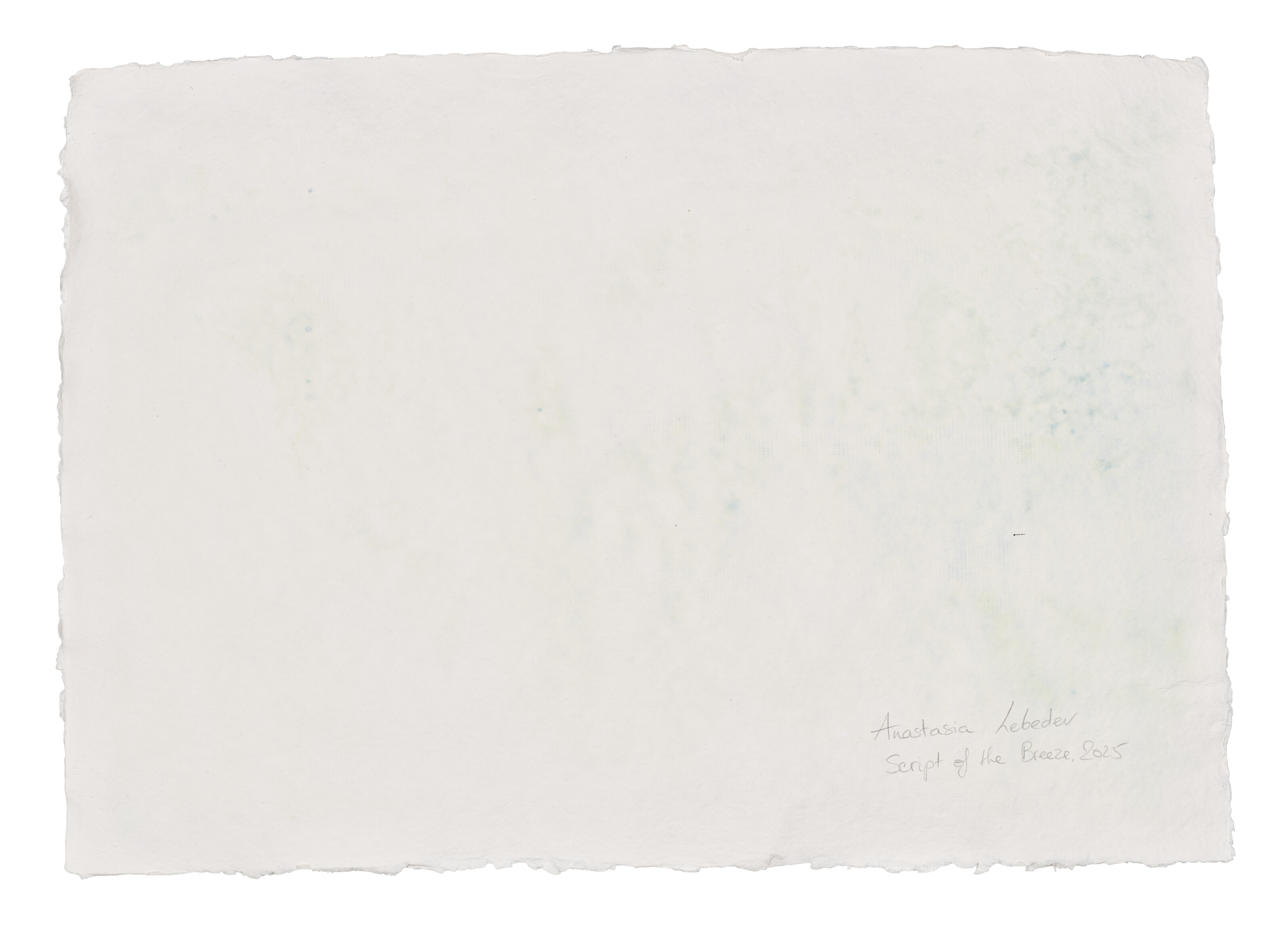 ANASTASIA LEBEDEV image 3