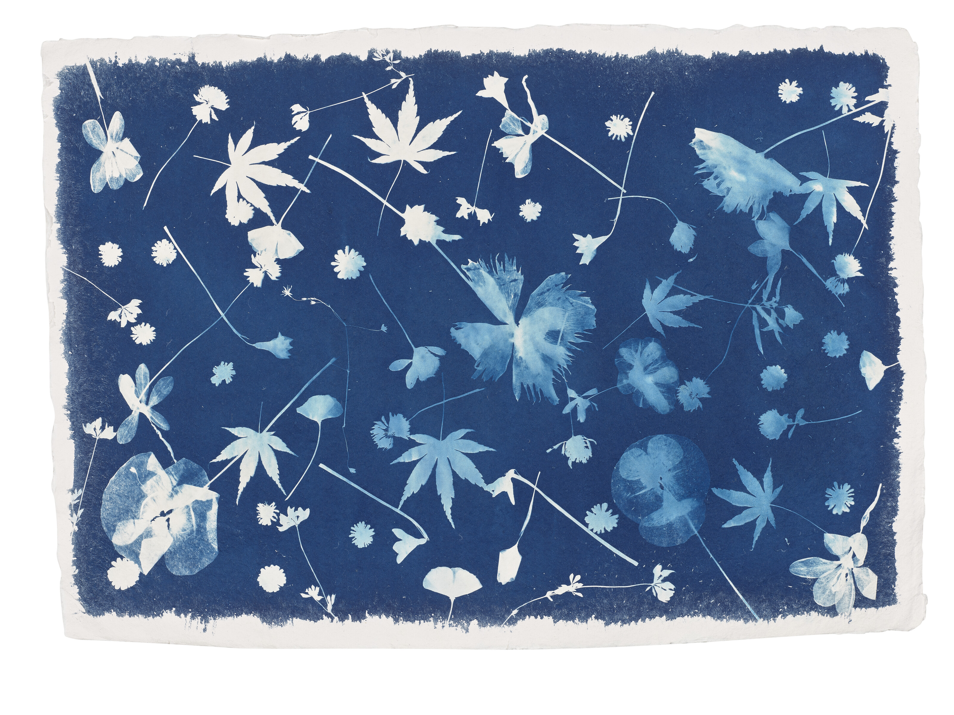 ANASTASIA LEBEDEV image 2