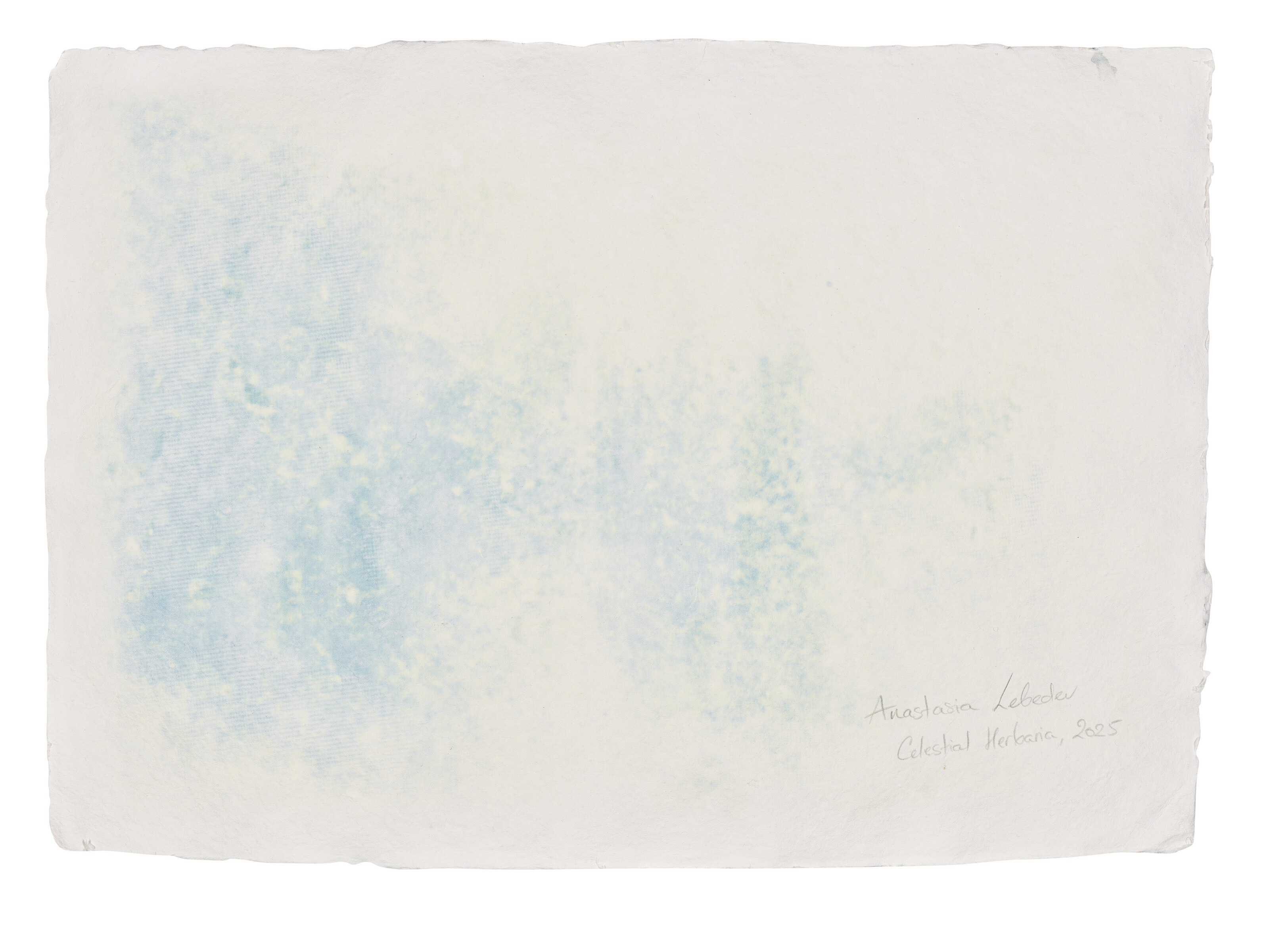 ANASTASIA LEBEDEV image 3