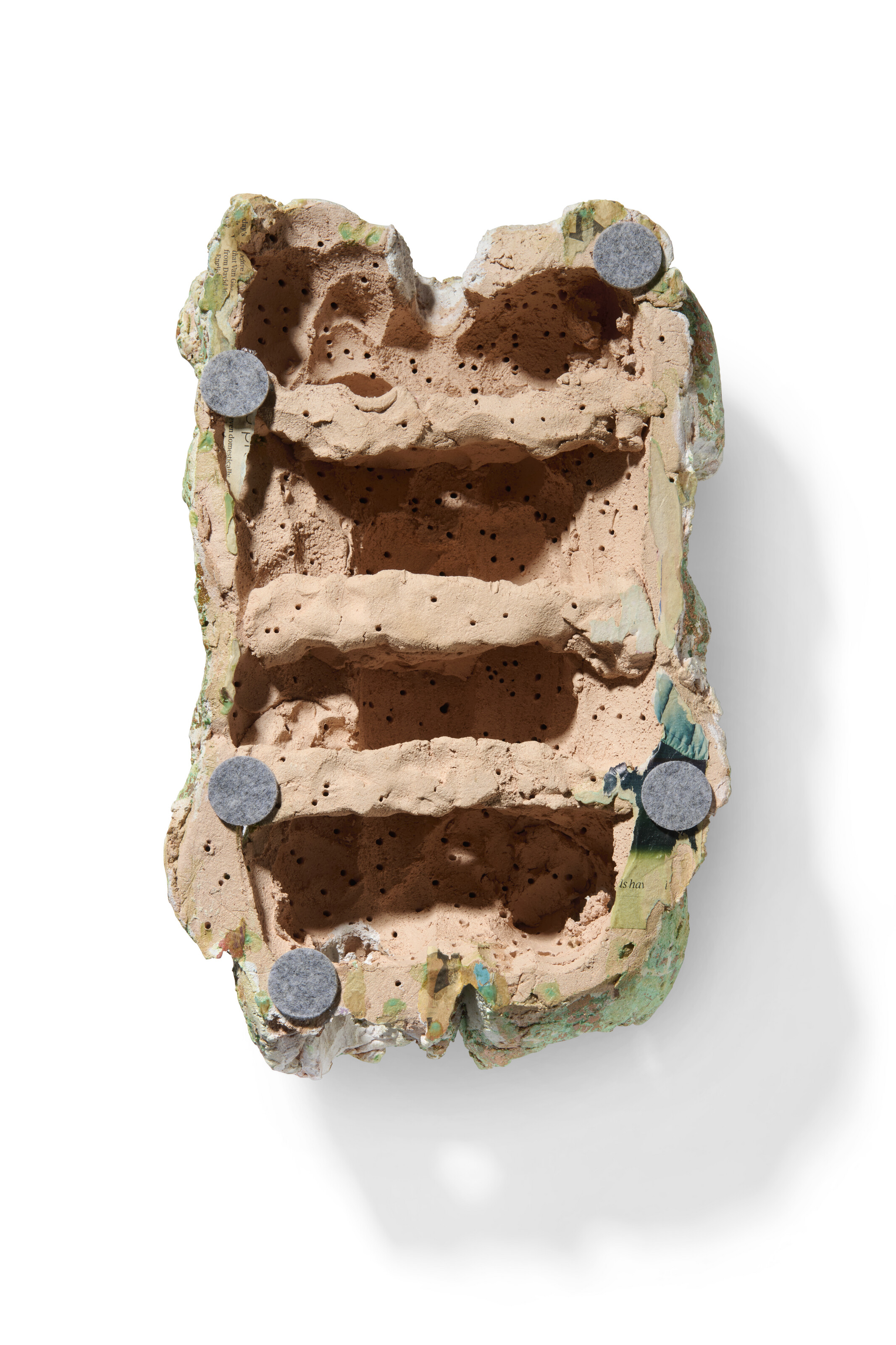 BRONWEN HARRISON image 2