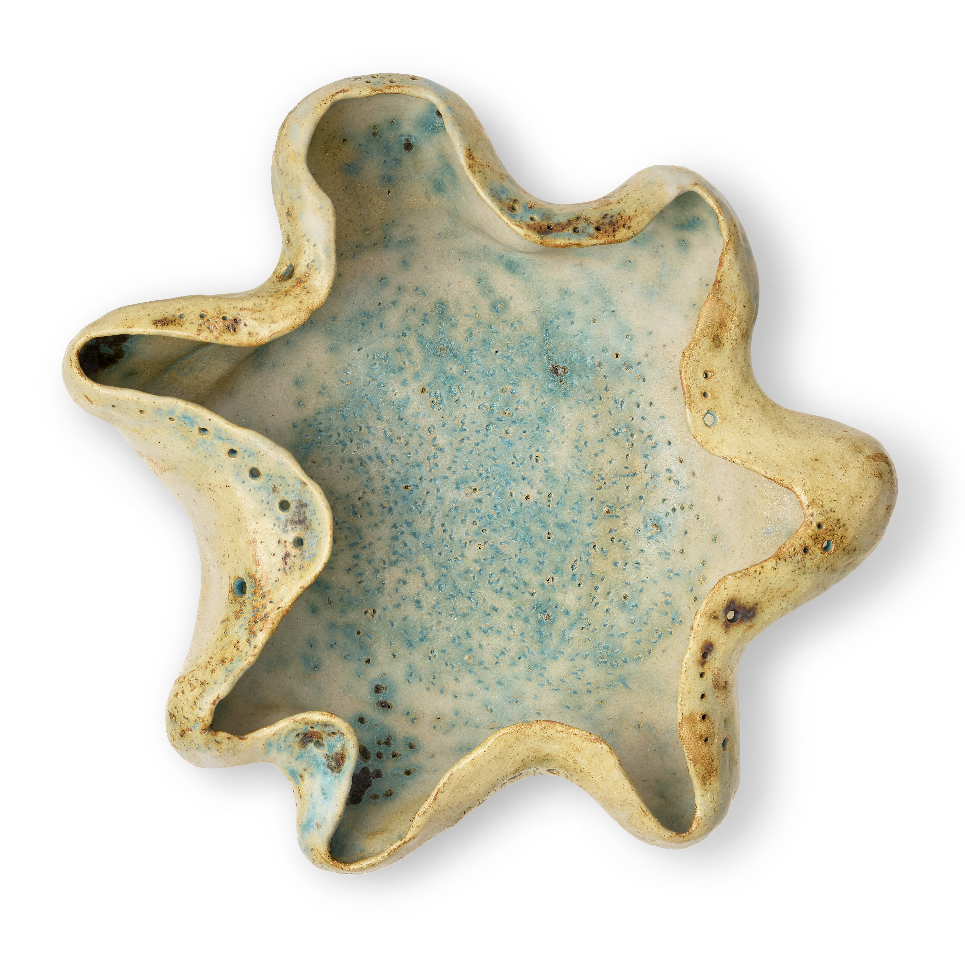 BRONWEN HARRISON image 2