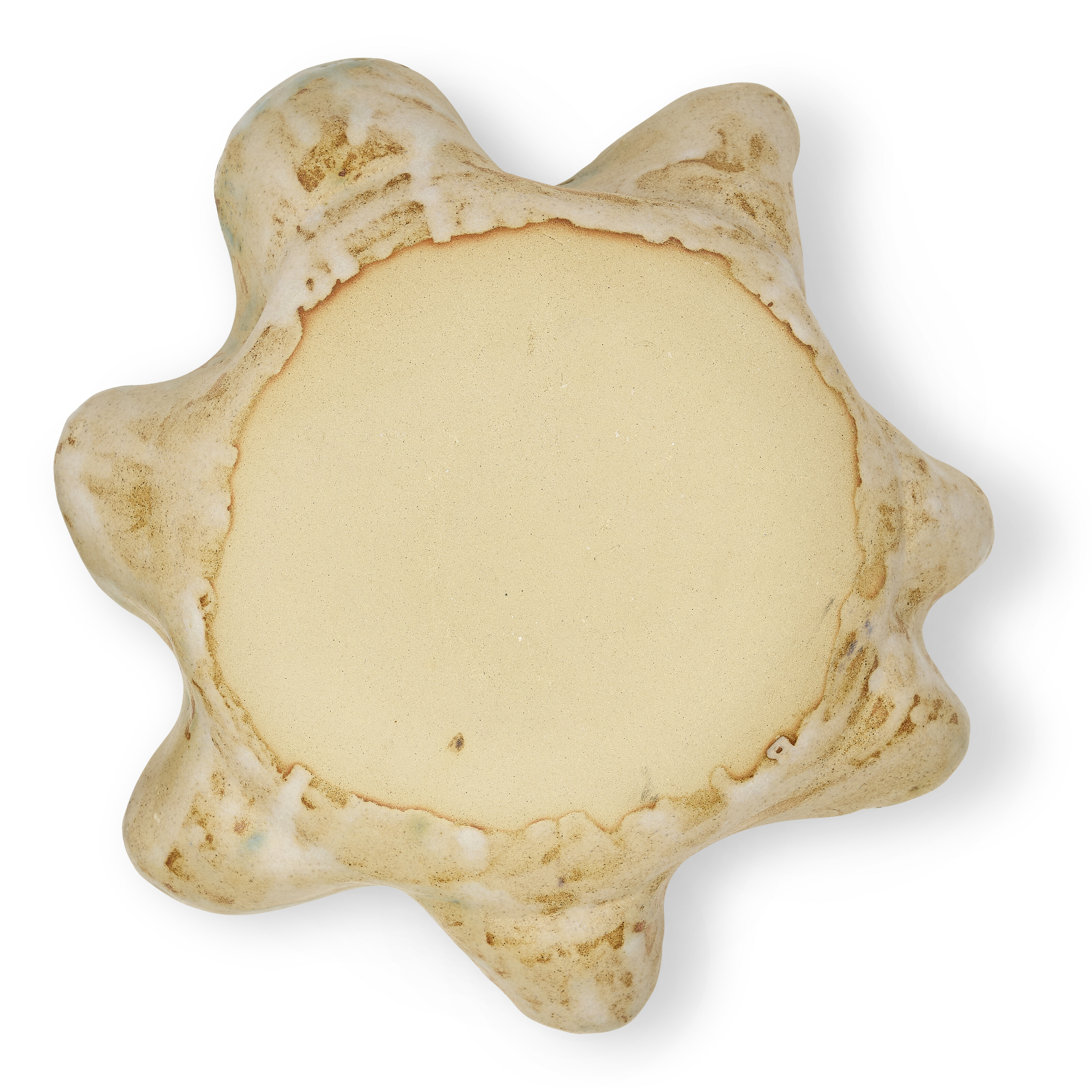 BRONWEN HARRISON image 3