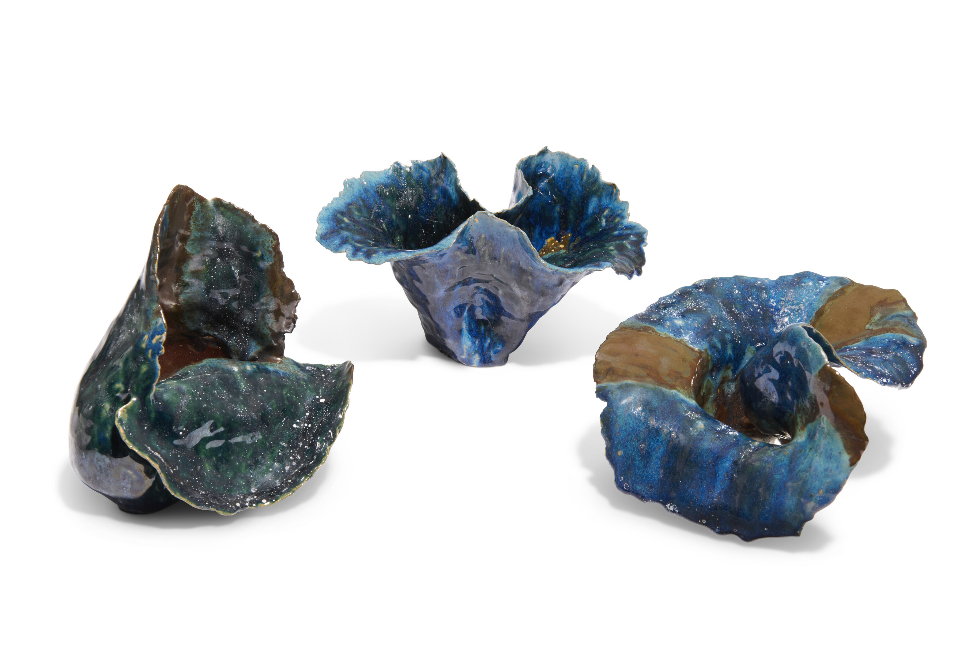 BRONWEN HARRISON image 2