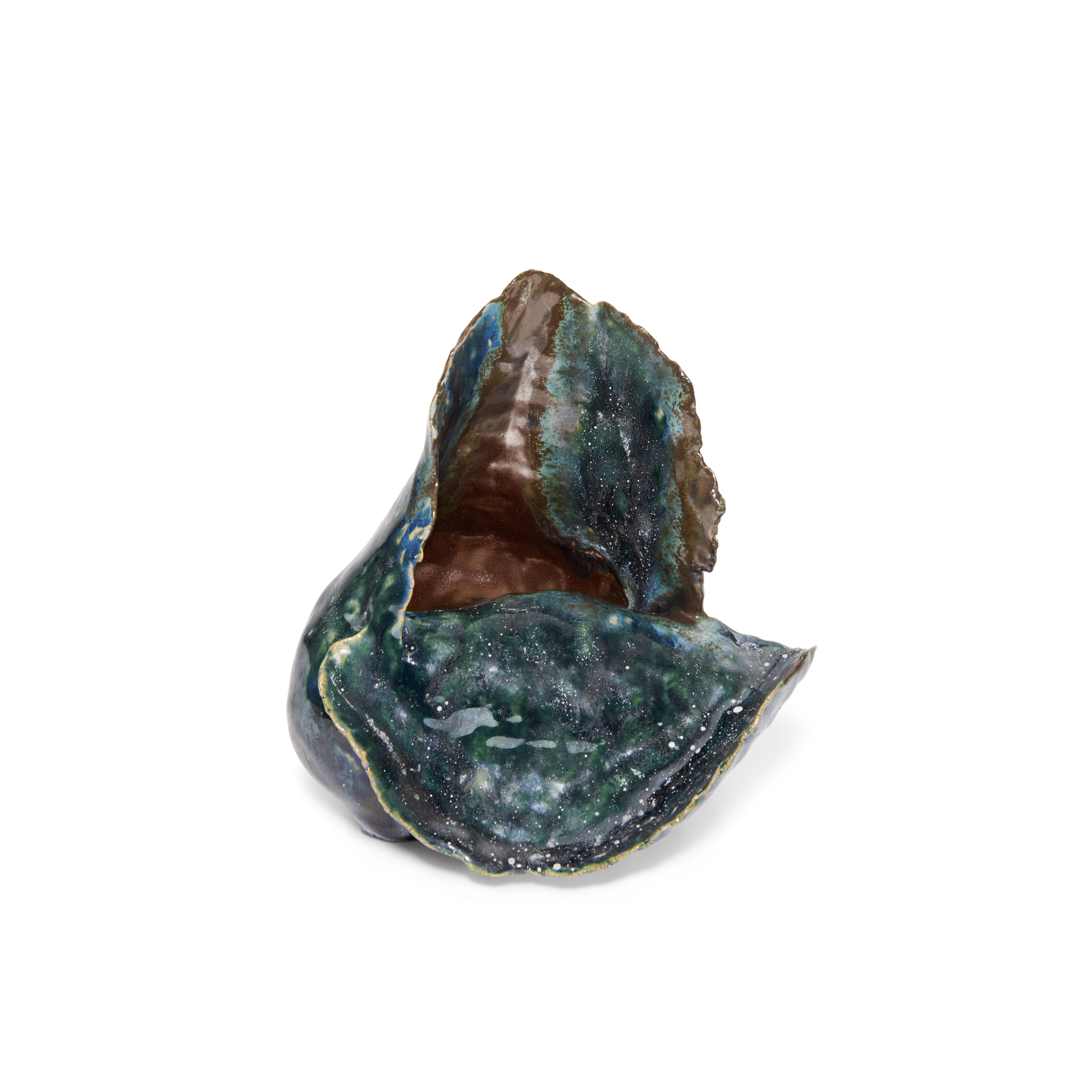 BRONWEN HARRISON image 5