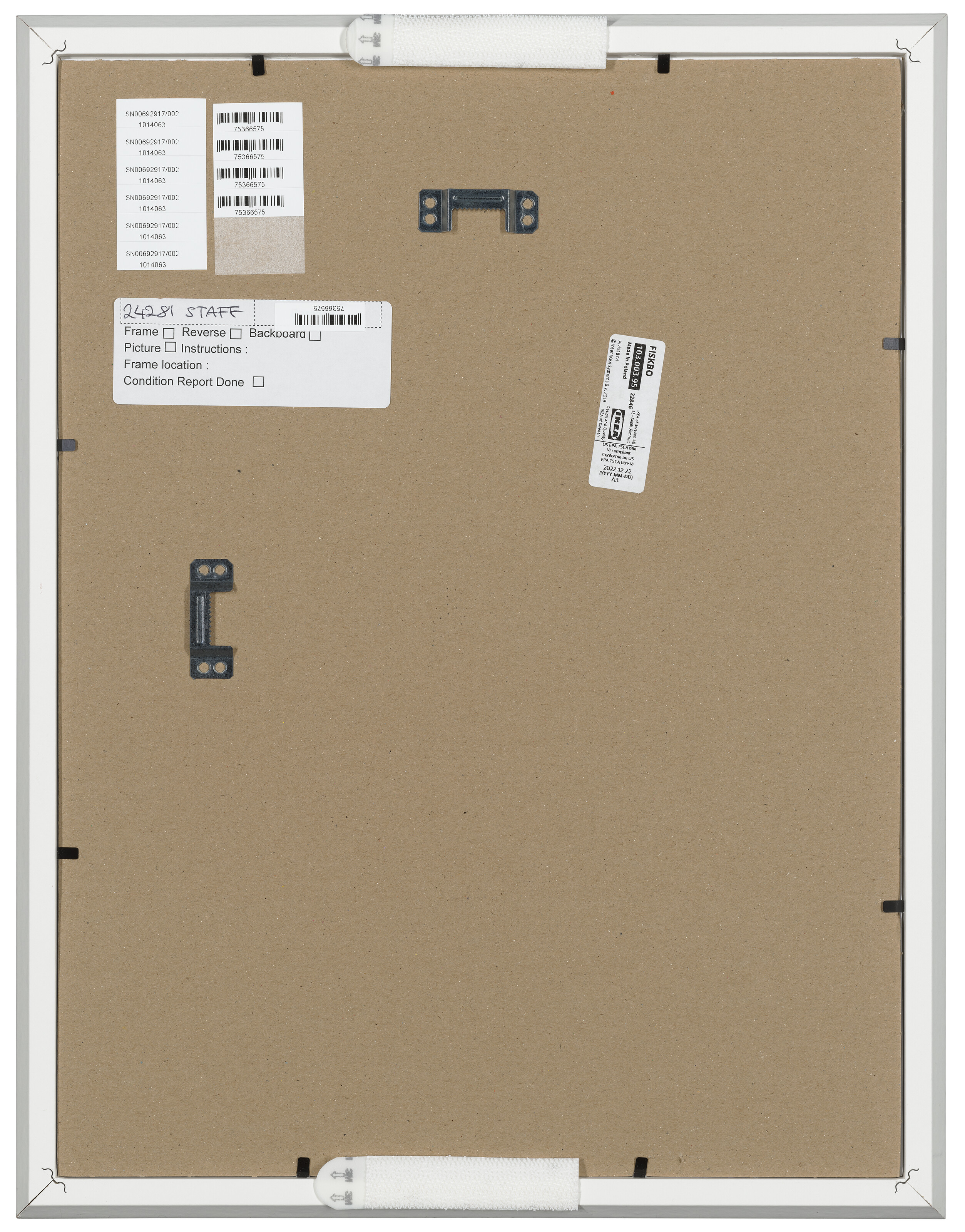 PENELOPE WATSON image 2