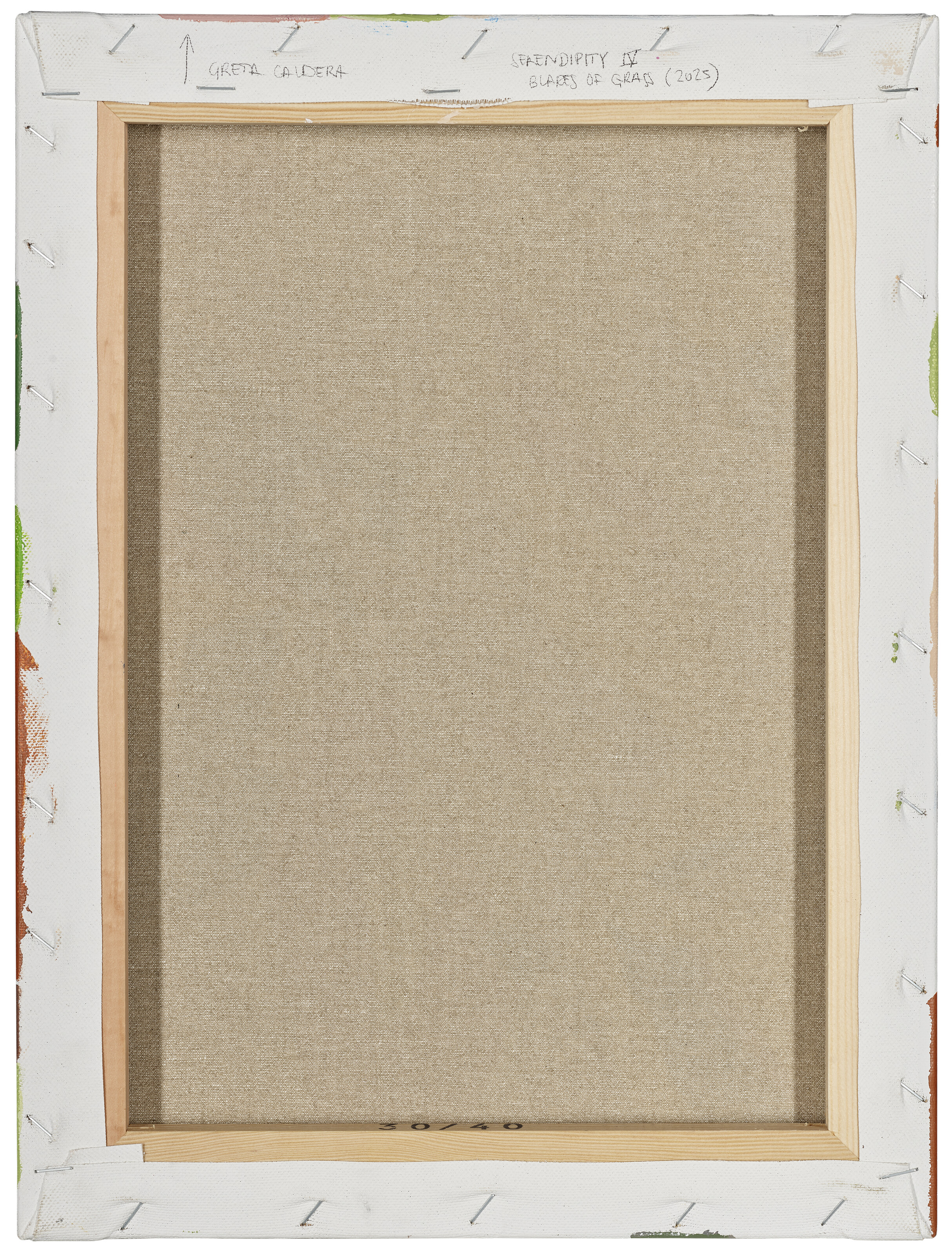 GRETA CALDERA image 2