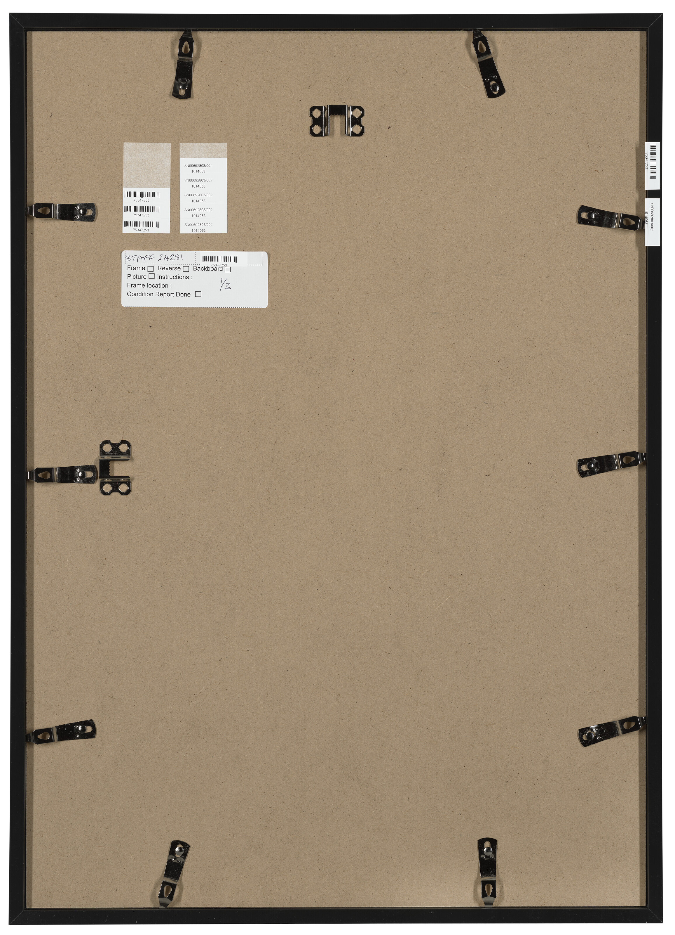 EVIE LOUISE JOHNSON image 3