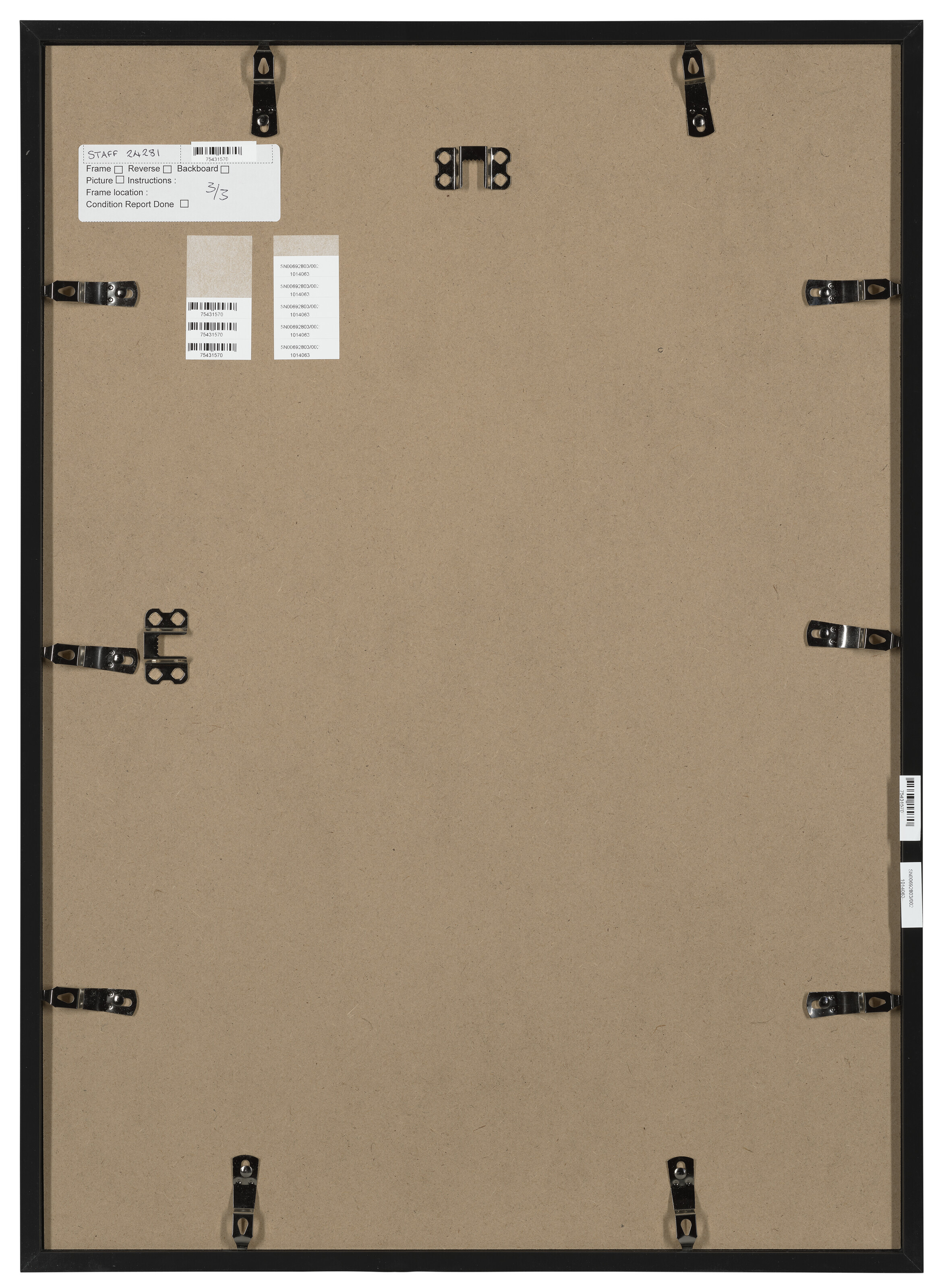 EVIE LOUISE JOHNSON image 5