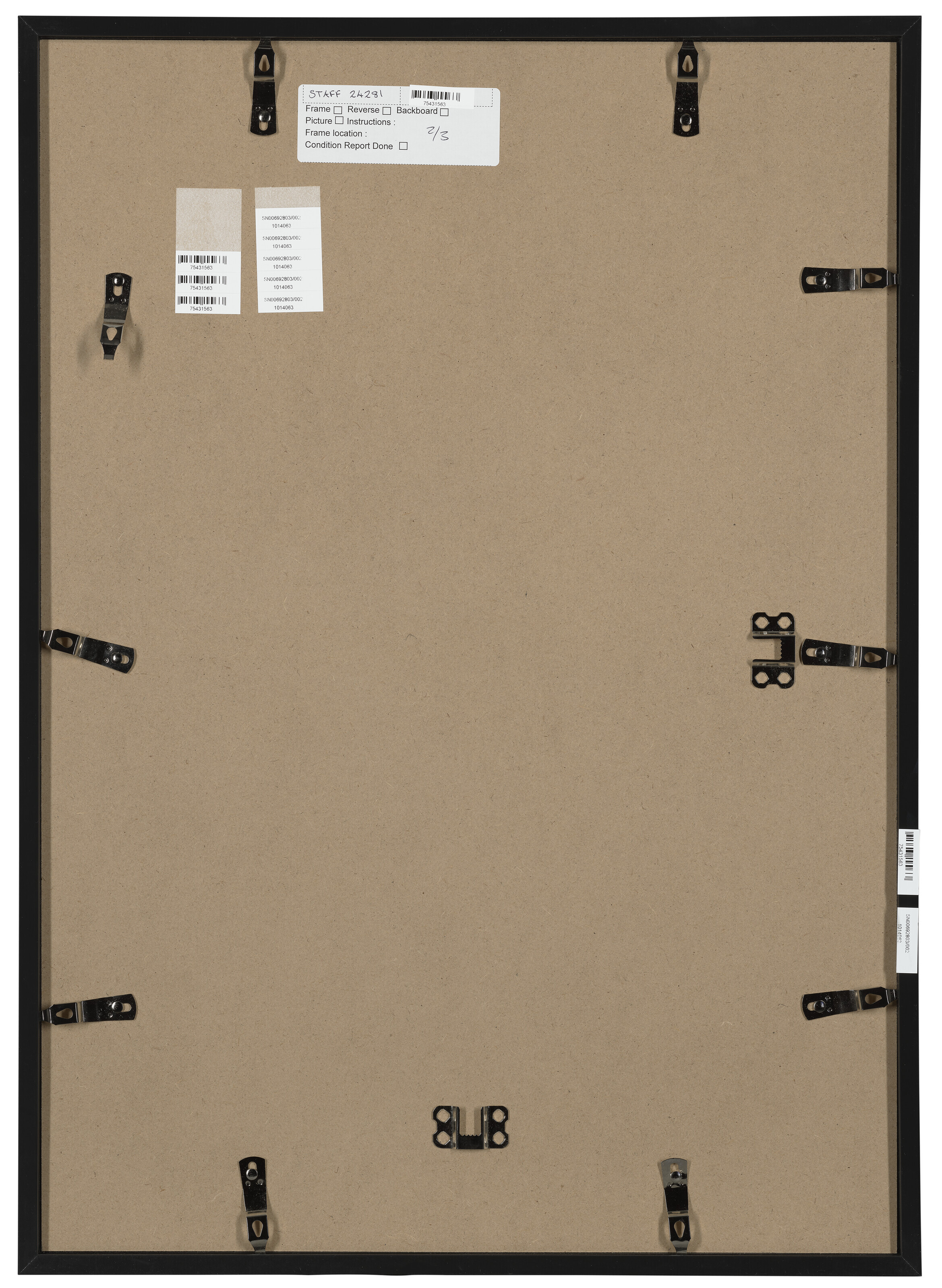 EVIE LOUISE JOHNSON image 7