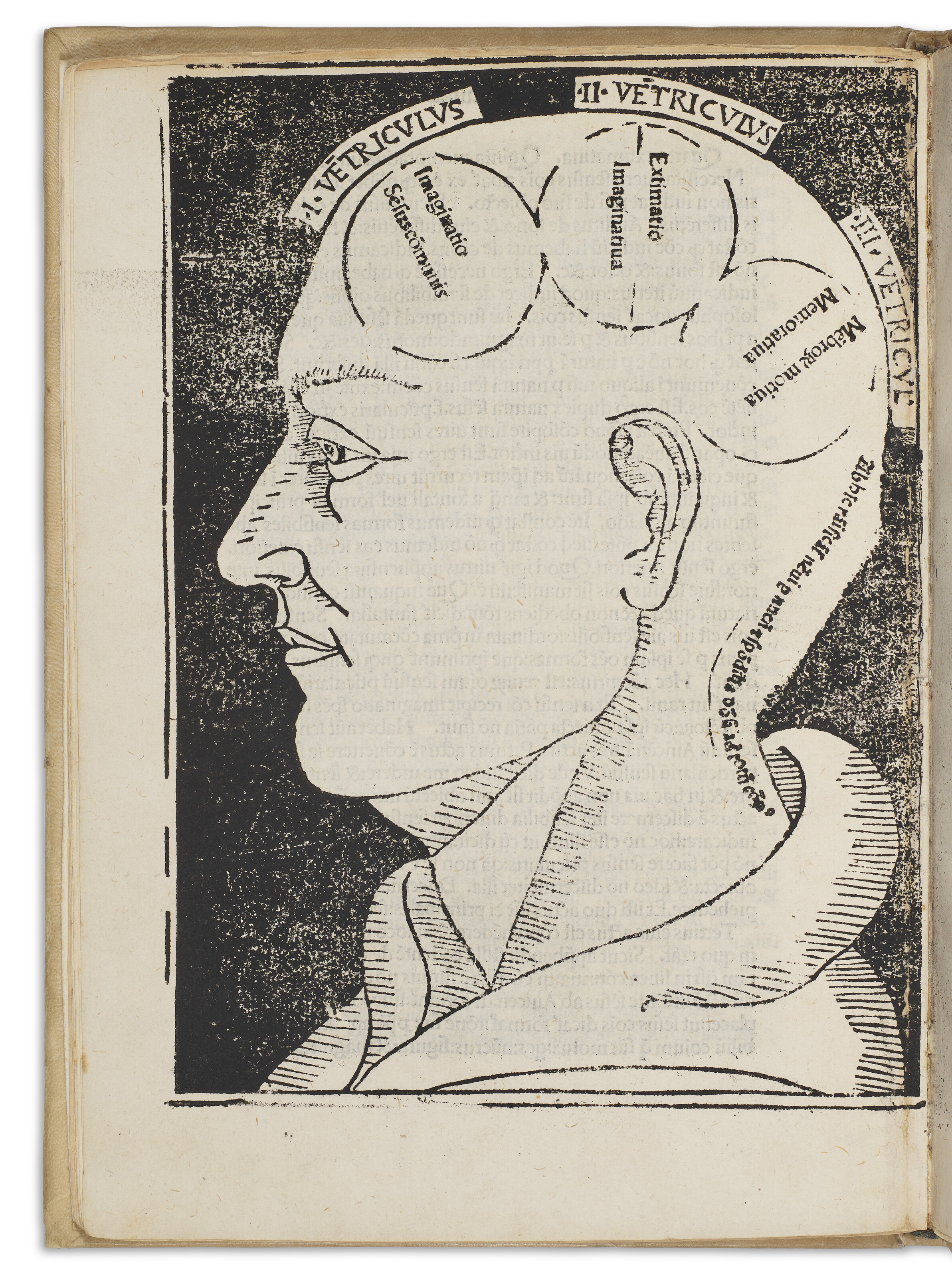 Philosophia pauperum, and other texts, Albertus Magnus and others, 10