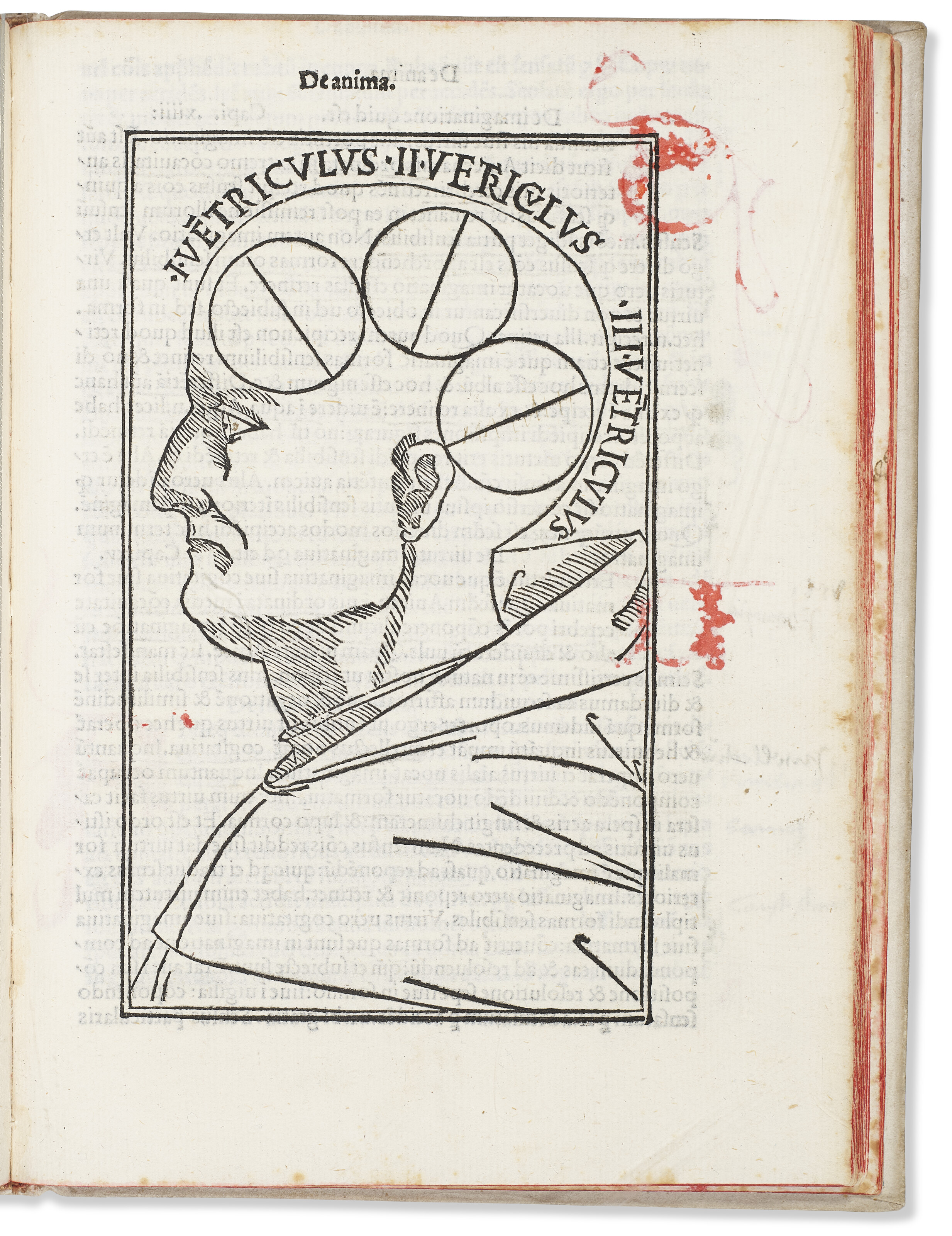 Philosophia pauperum, and other texts, Albertus Magnus, and others, 31