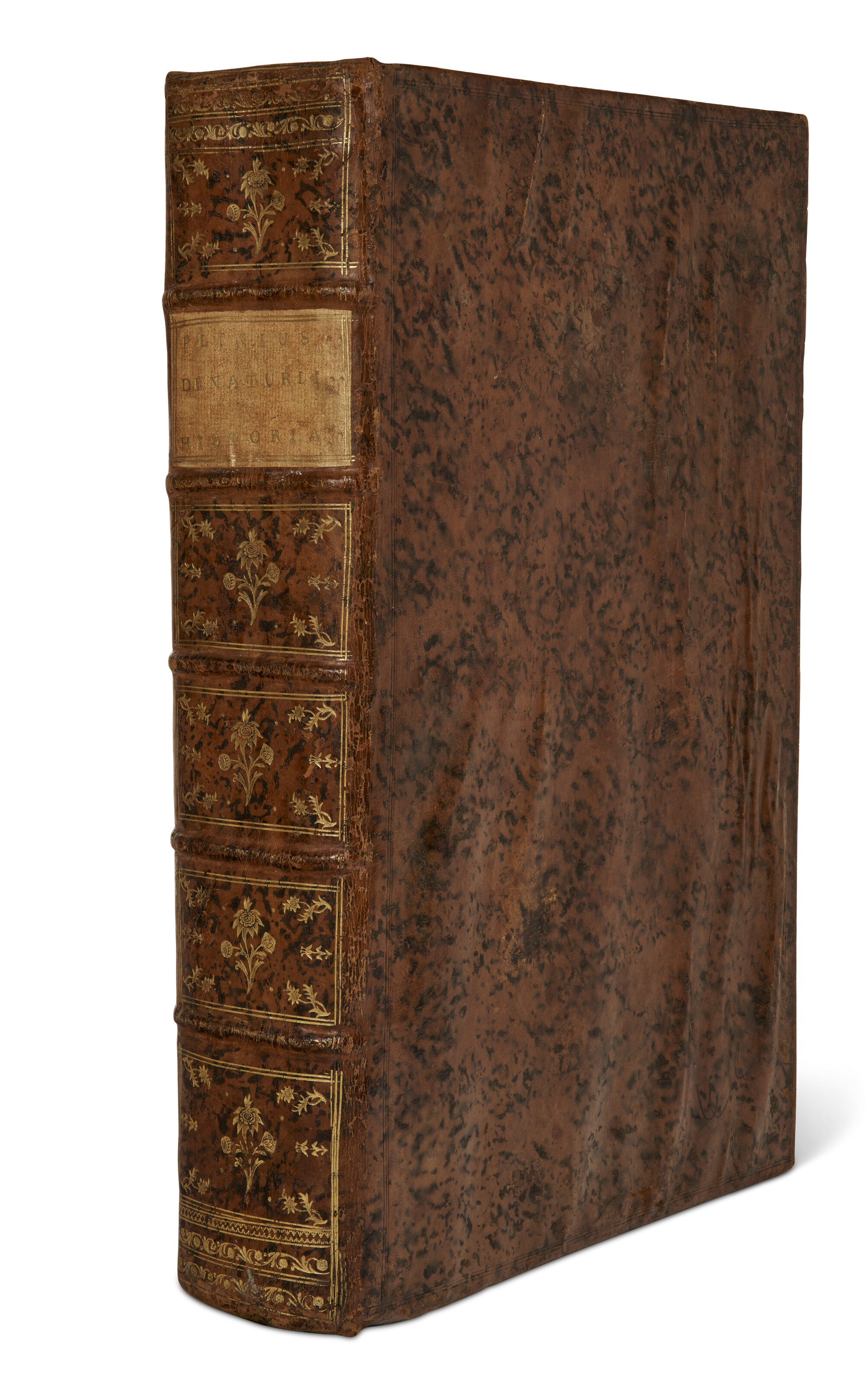 File:Plinius, Naturalis Historia (1481).jpg - Wikimedia Commons