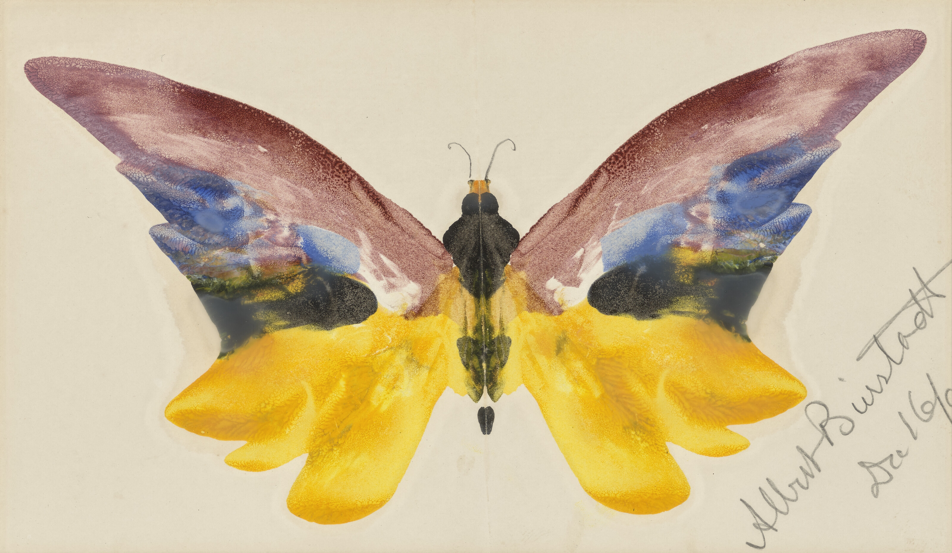 ALBERT BIERSTADT (1830-1902), Butterfly | Christie's