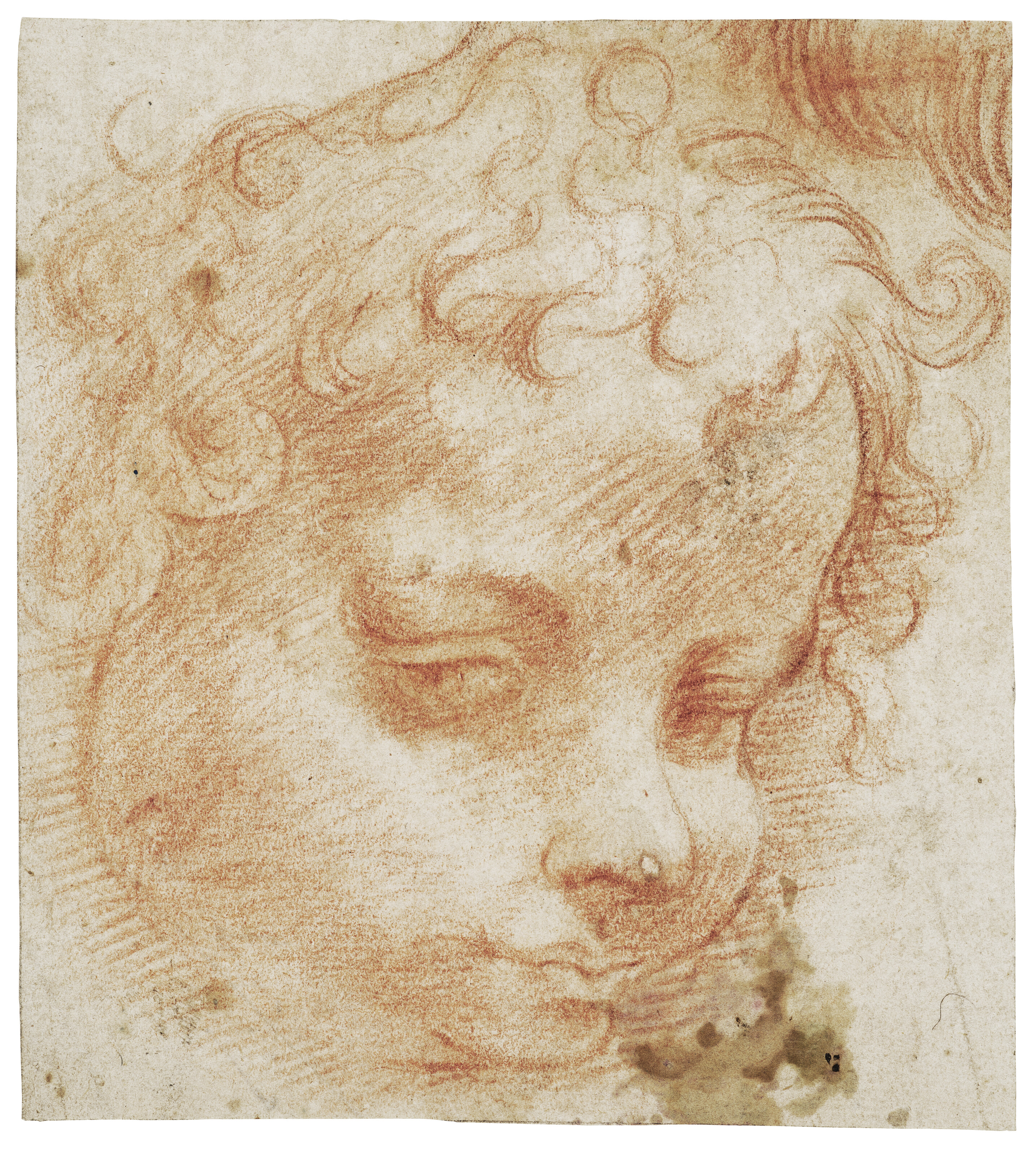 Head of a putto