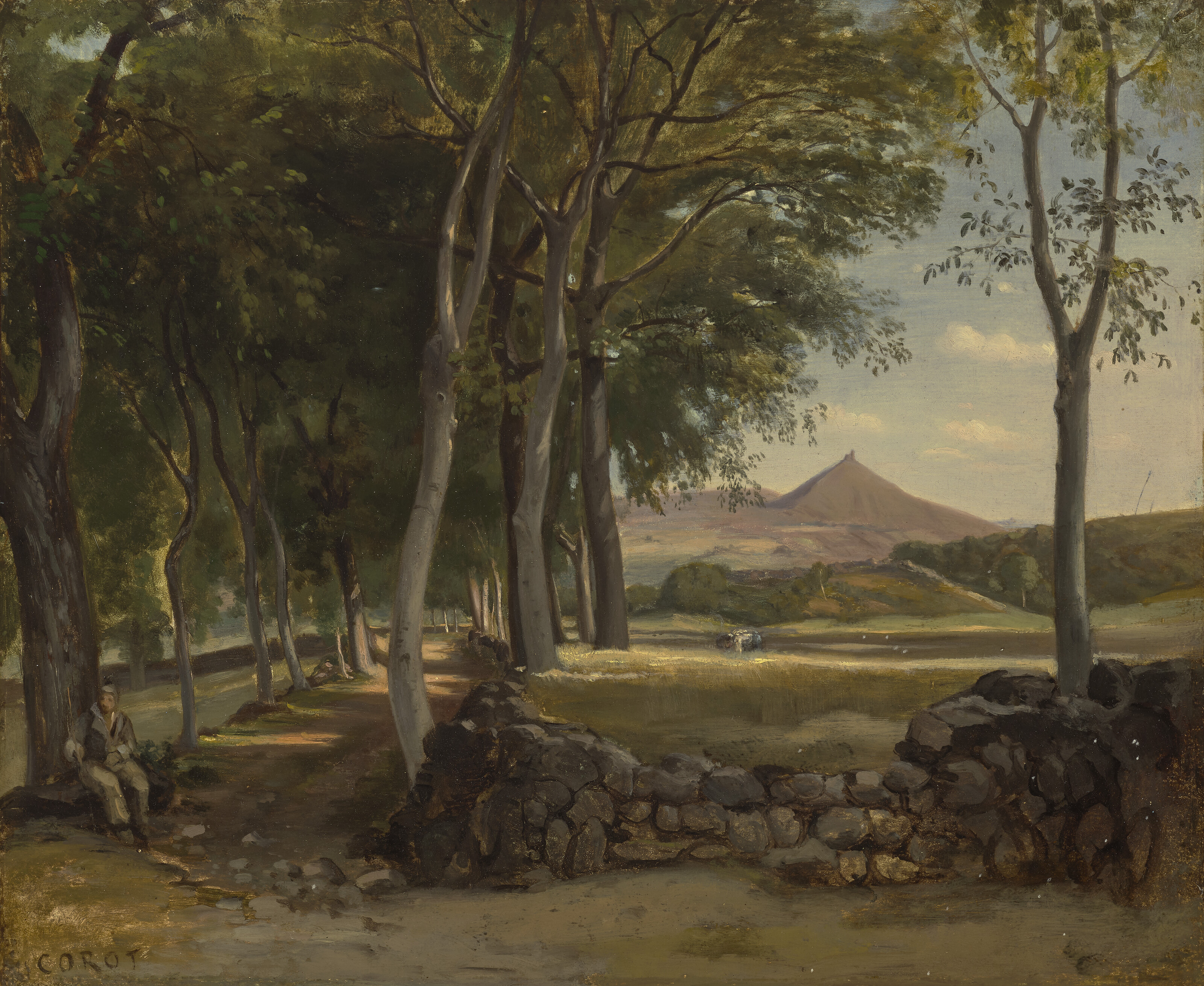Paysage montagneux vu à travers les arbres
