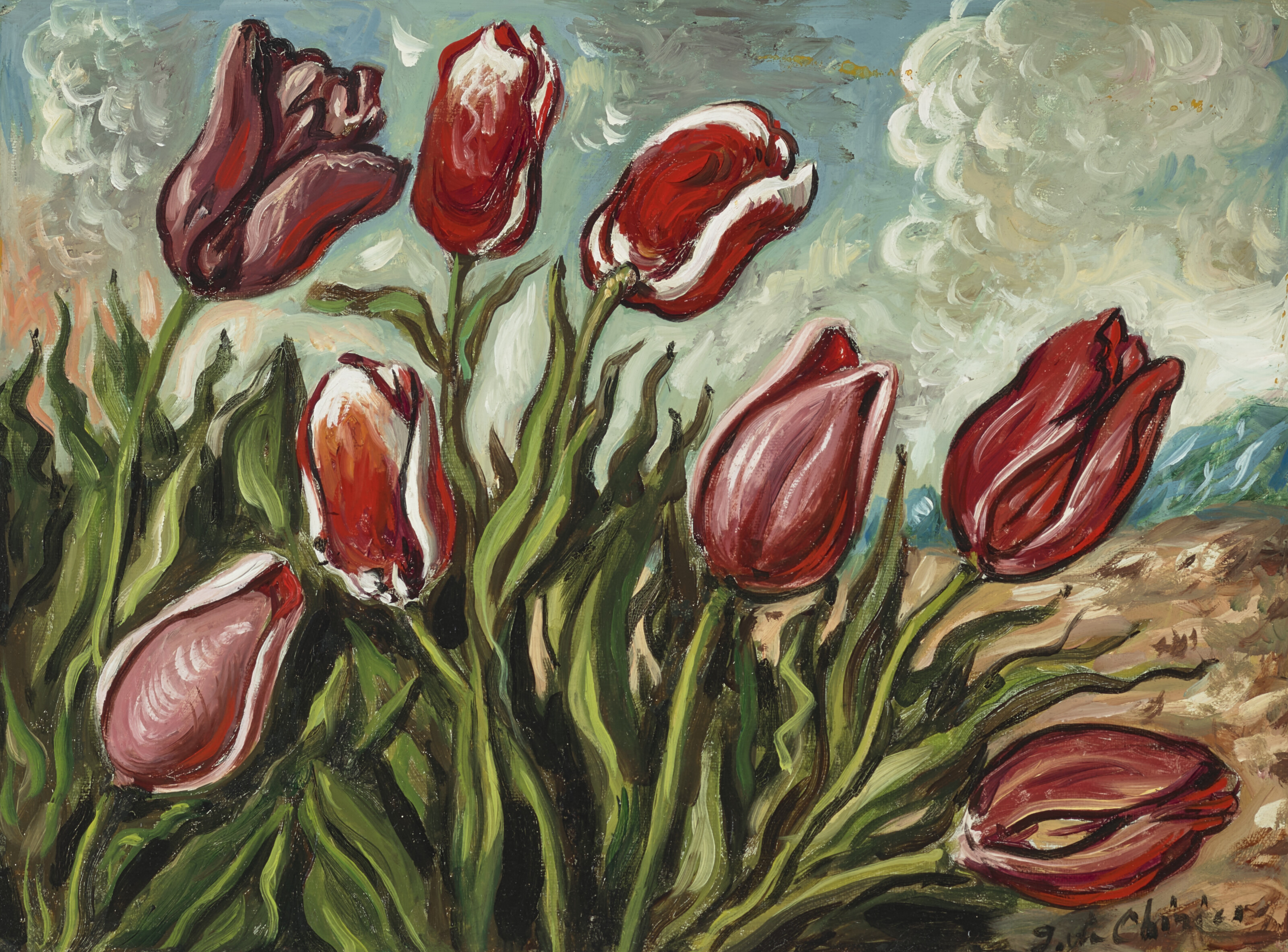 Tulipani
