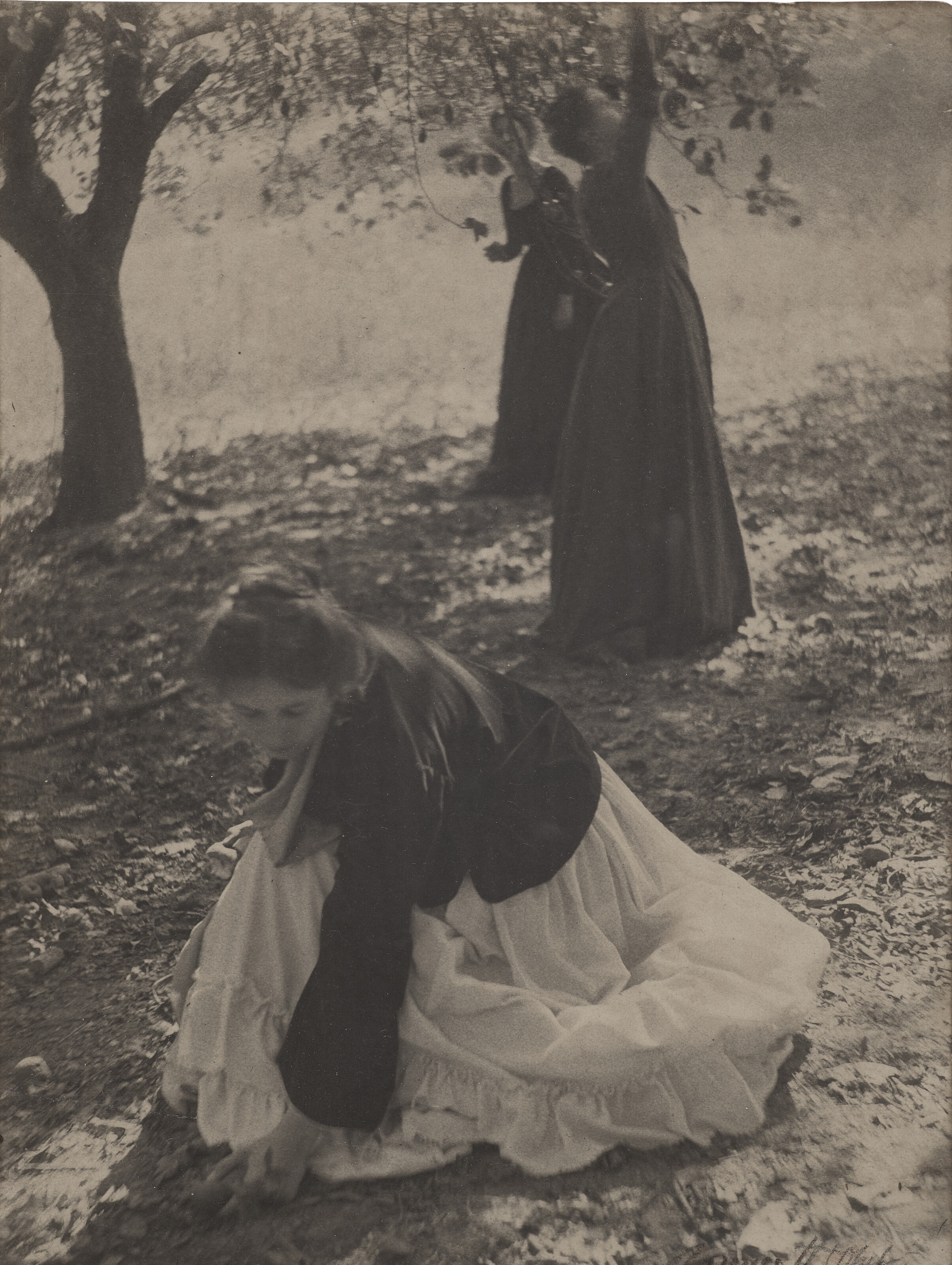 MERCY TREES オランダ写真家　Hans van Ommeren 写真集 CLARENCE H WHITE (1871-1925), The Orchard, 1902 | Christie's