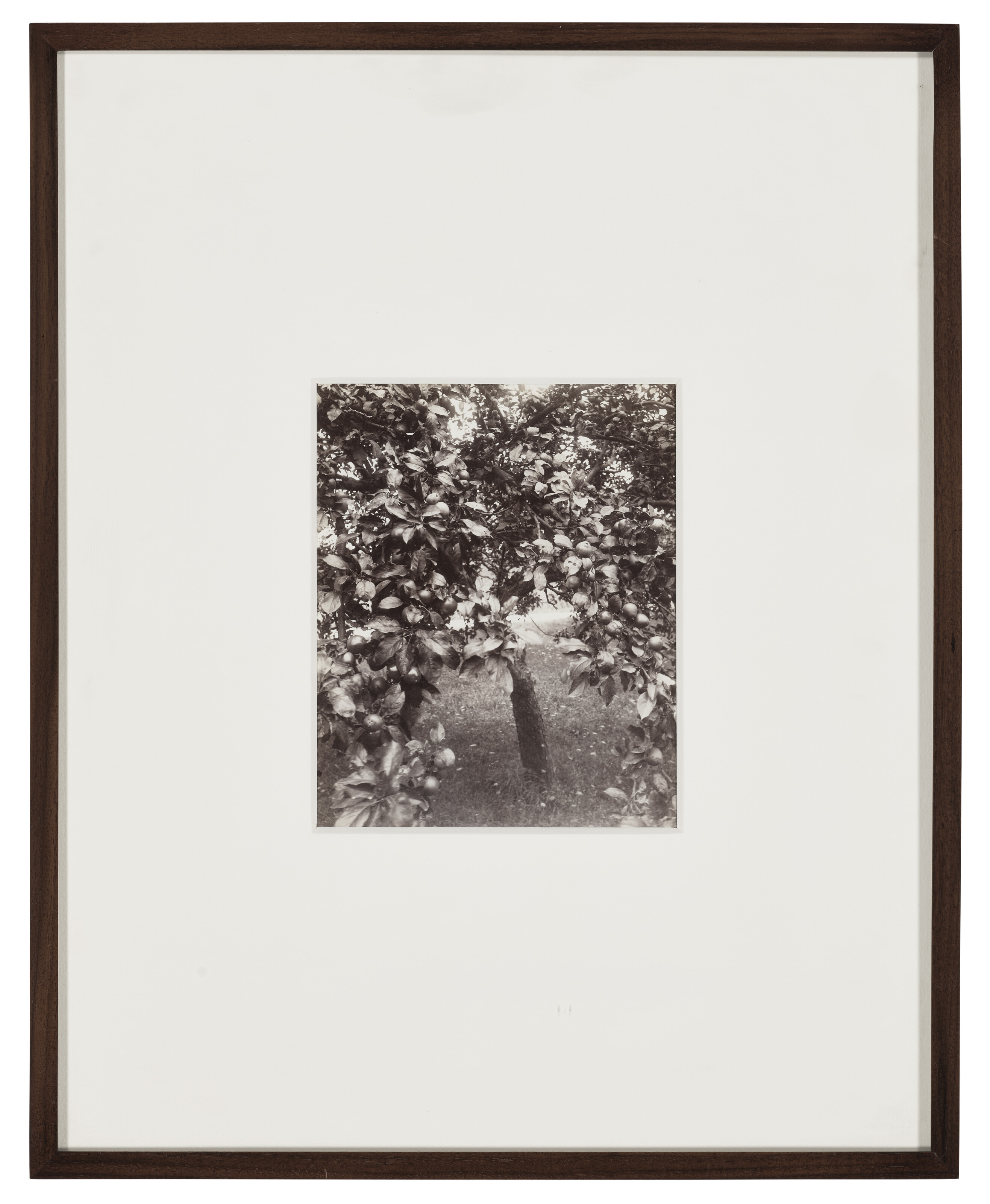 EUGENE ATGET 1857-1927 オリジナルプリント5枚セット 2025年最新】atgetの人気アイテム - メルカリ