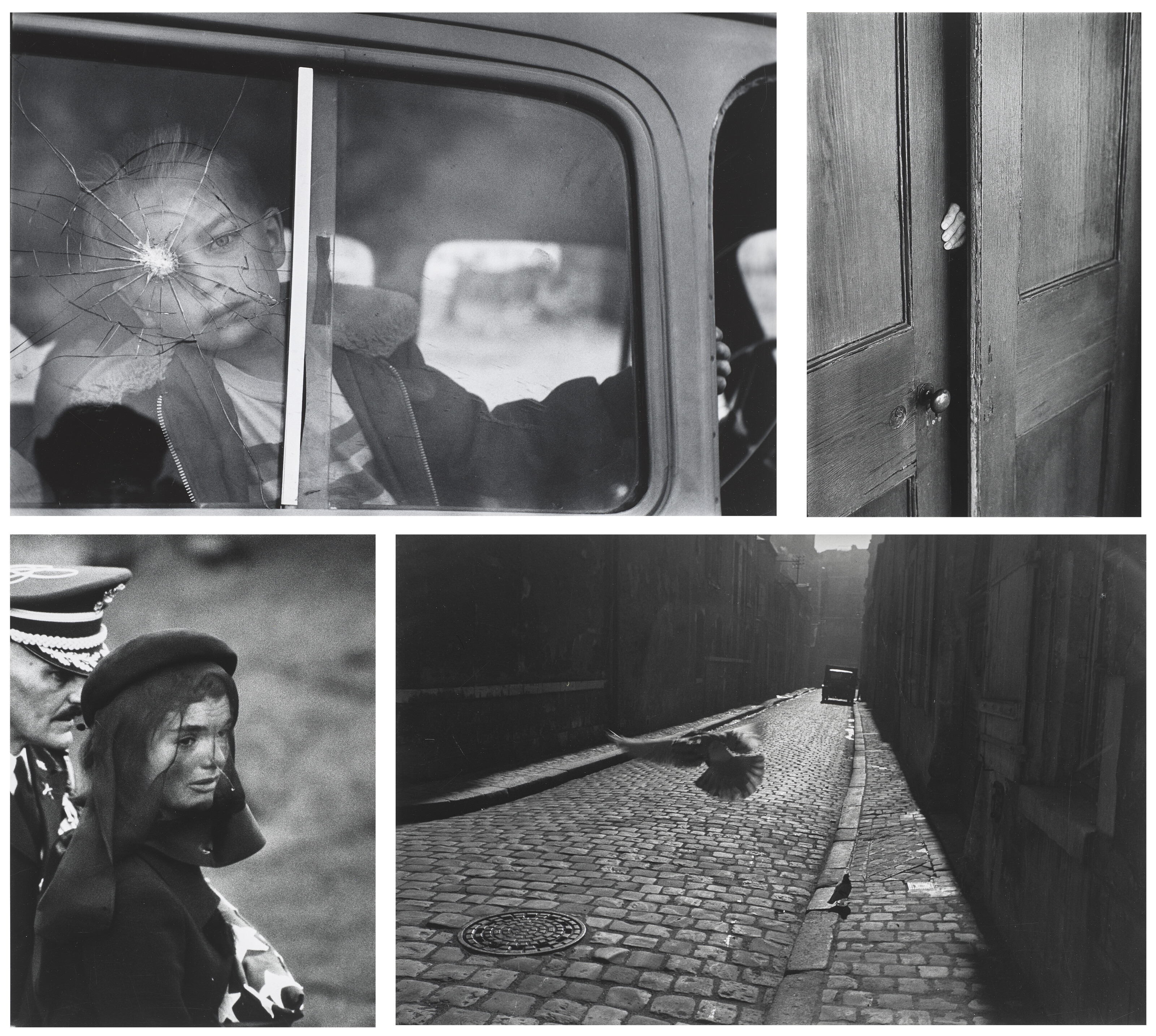アート・デザイン・音楽 Elliott Erwitt Flip-o-Rama Italia Amazon.com: Elliott Erwitt Flip-o-Rama Italia (18 Volumes