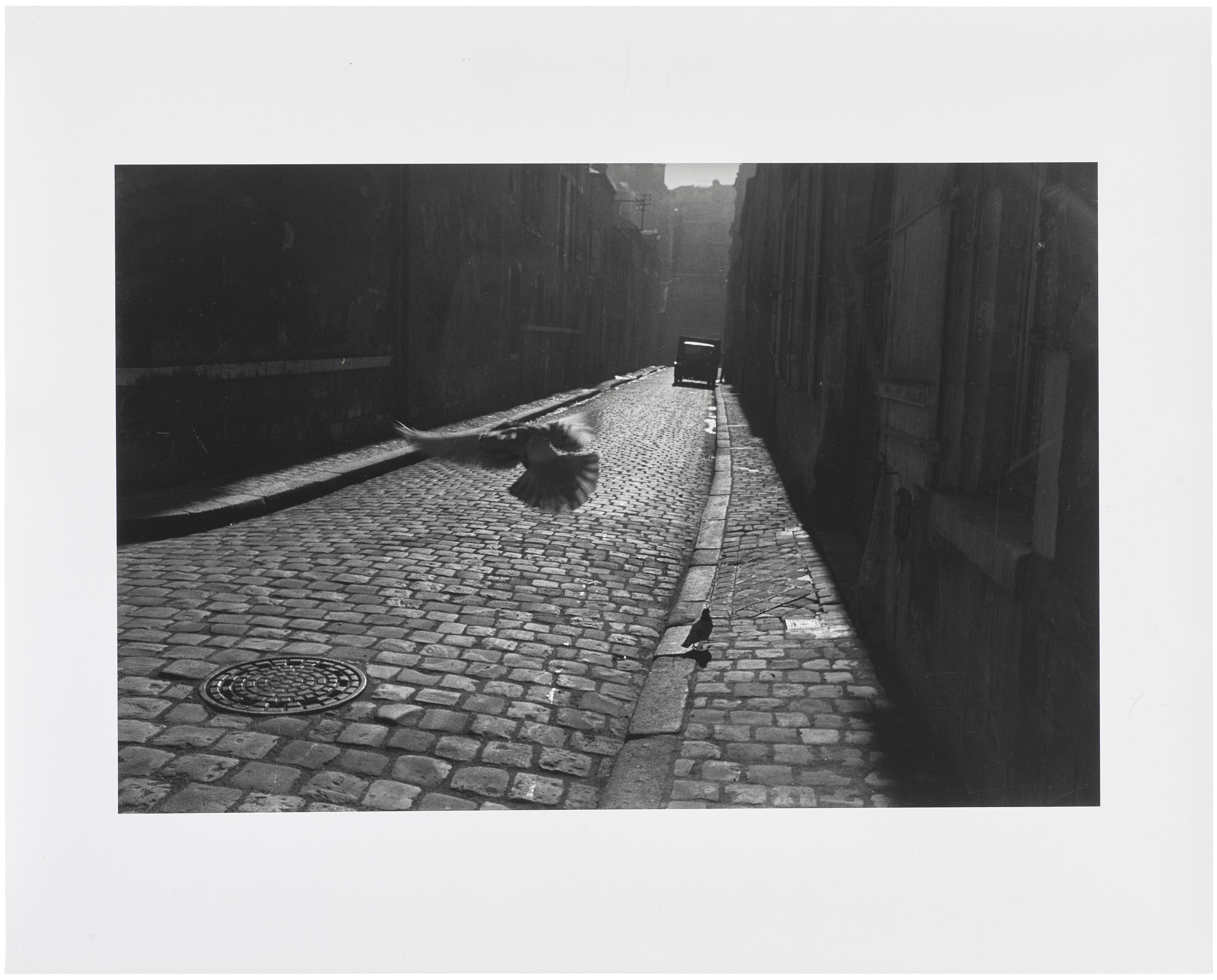 ELLIOTT ERWITT (1928–2023), The Alchan Edition Portfolio