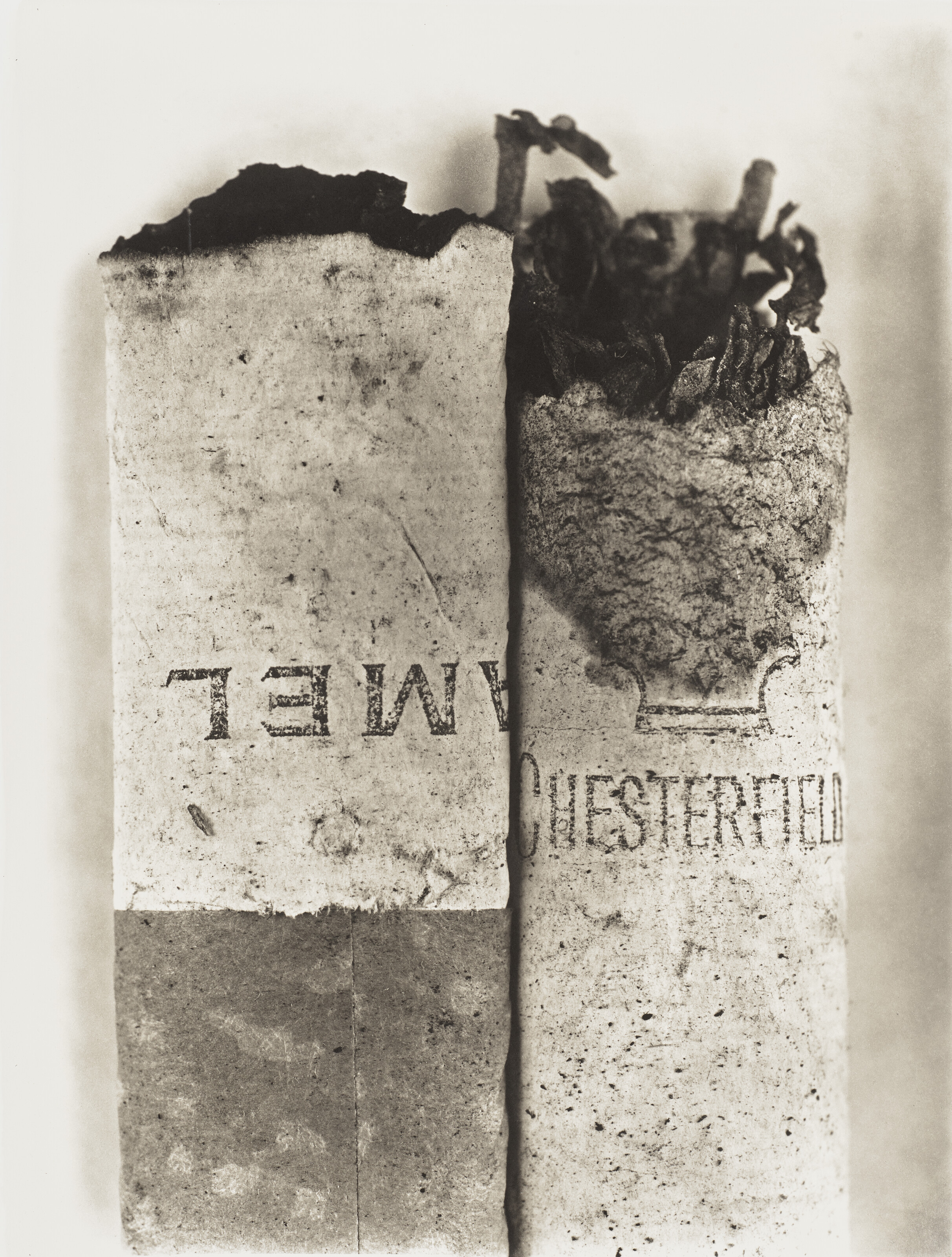 IRVING PENN (1917-2009), Cigarette #37, New York, 1974 | Christie's