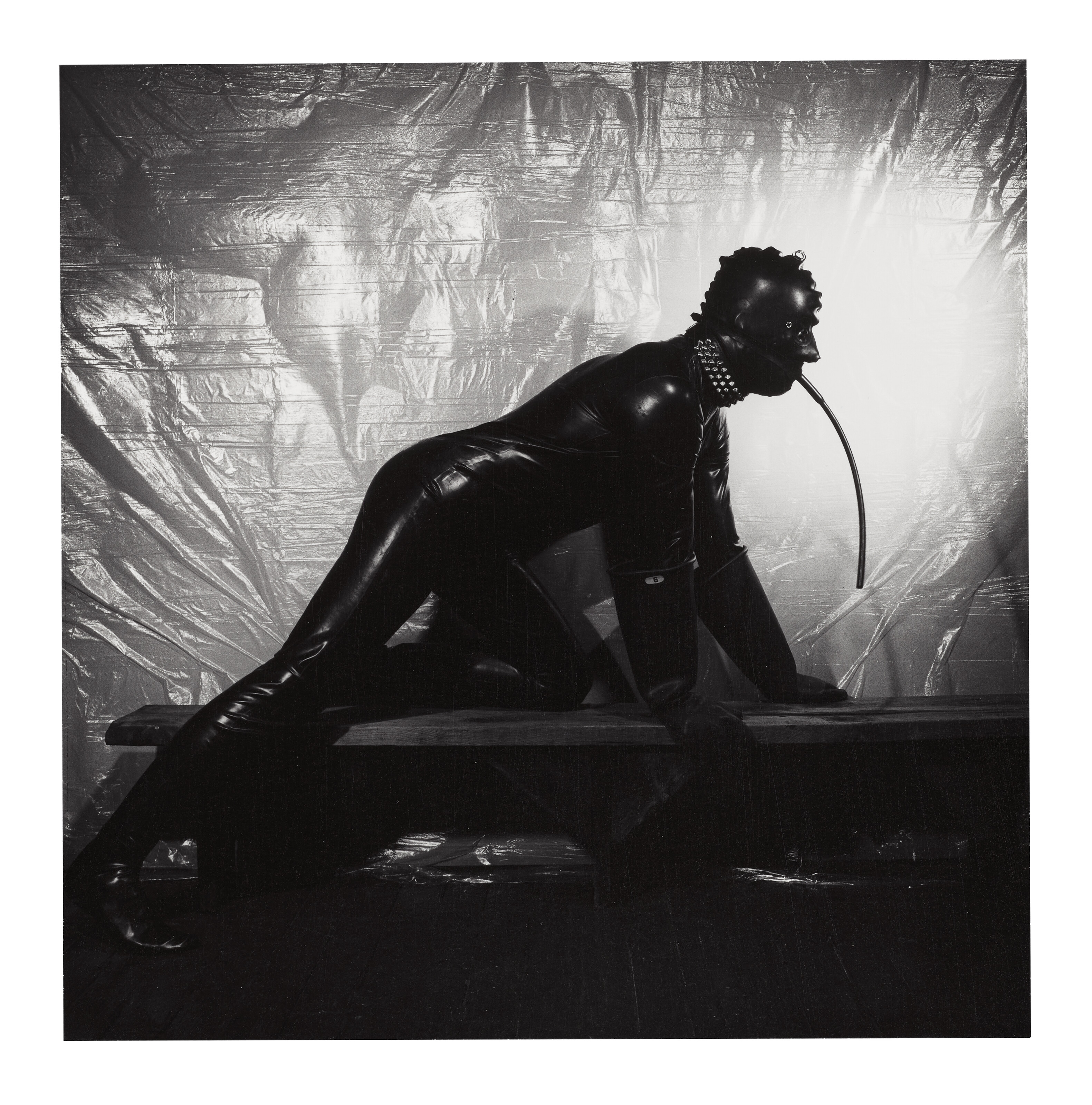 アート・デザイン・音楽 MAPPLETHORPE Robert Mapplethorpe Robert Mapplethorpe | Lisa Lyon (1982) | Artsy