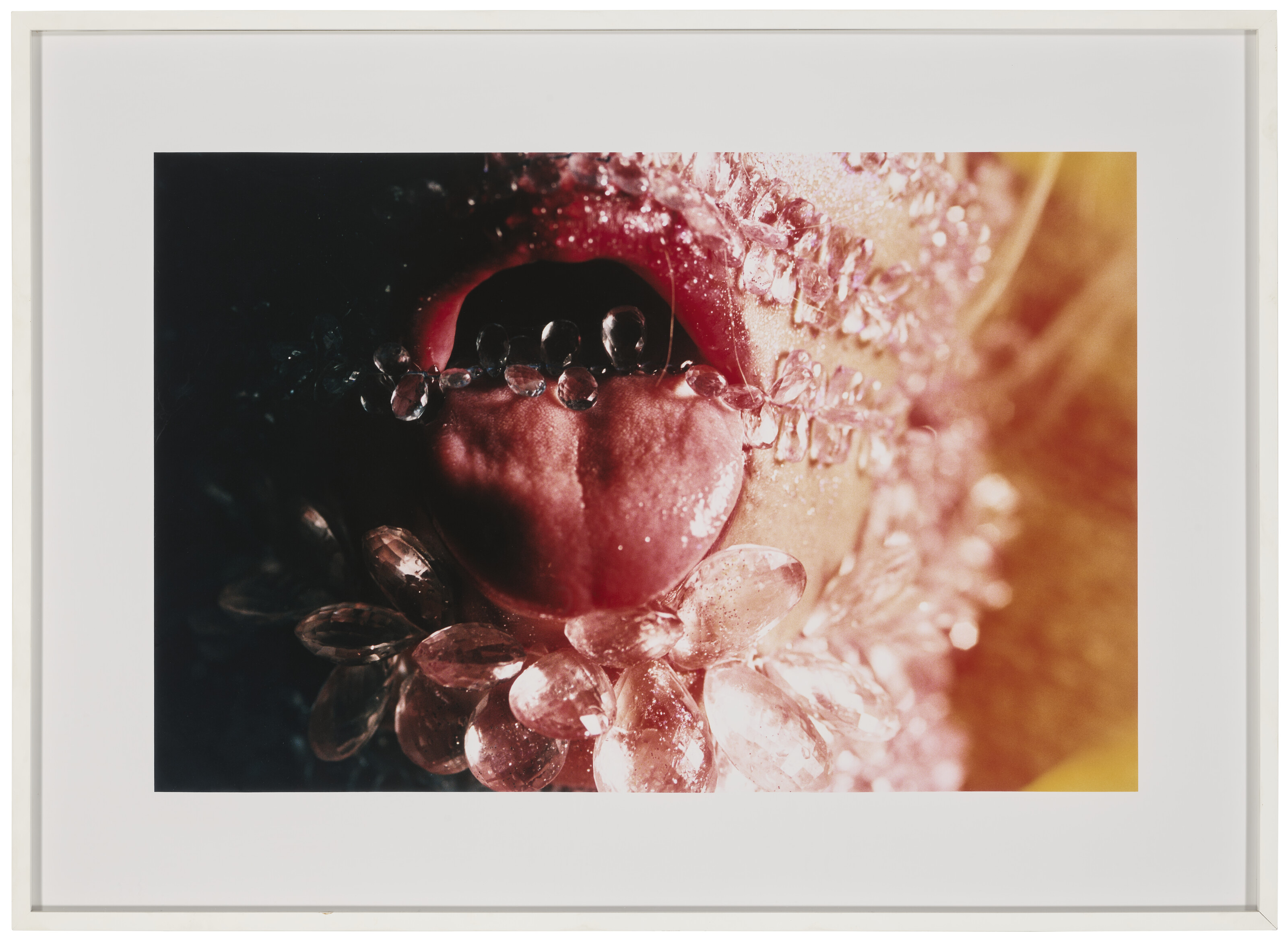 Marilyn Minter　マリリン・ミンター Marilyn Minter: Burton, Johanna, Higgs, Matthew, Minter