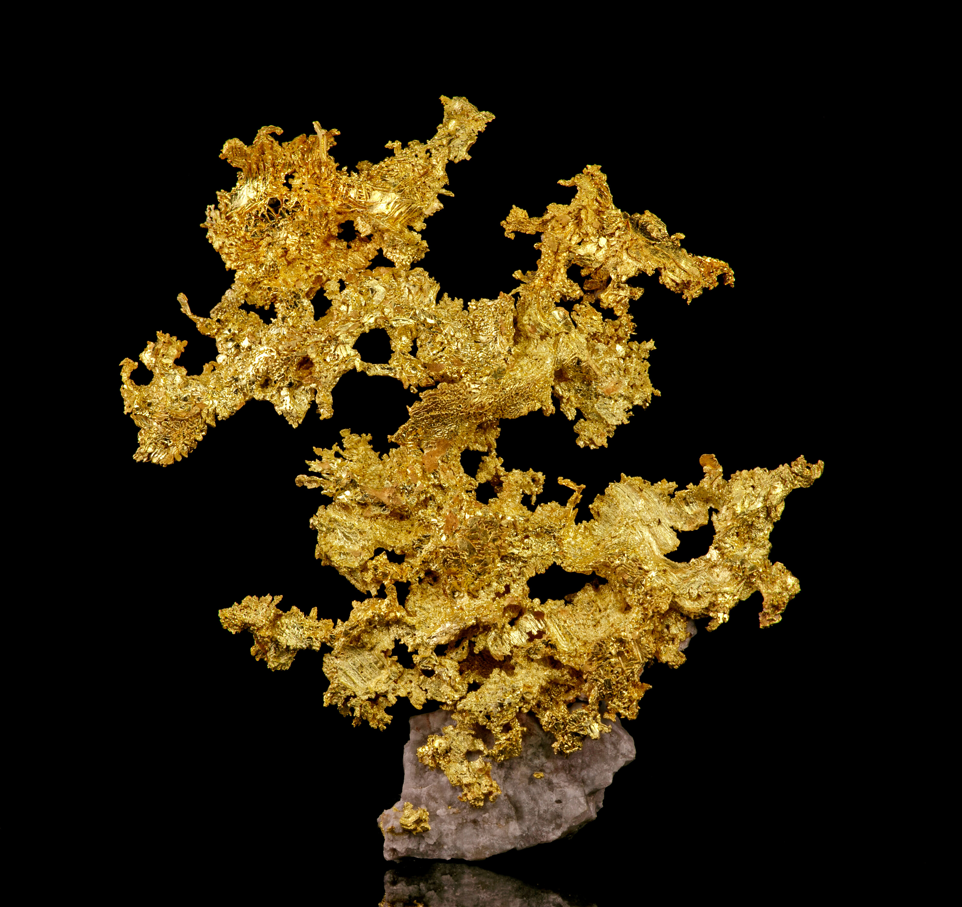 AESTHETIC CRYSTALIZED GOLD FROM THE MARC WEILL COLLECTION, Eagle's
