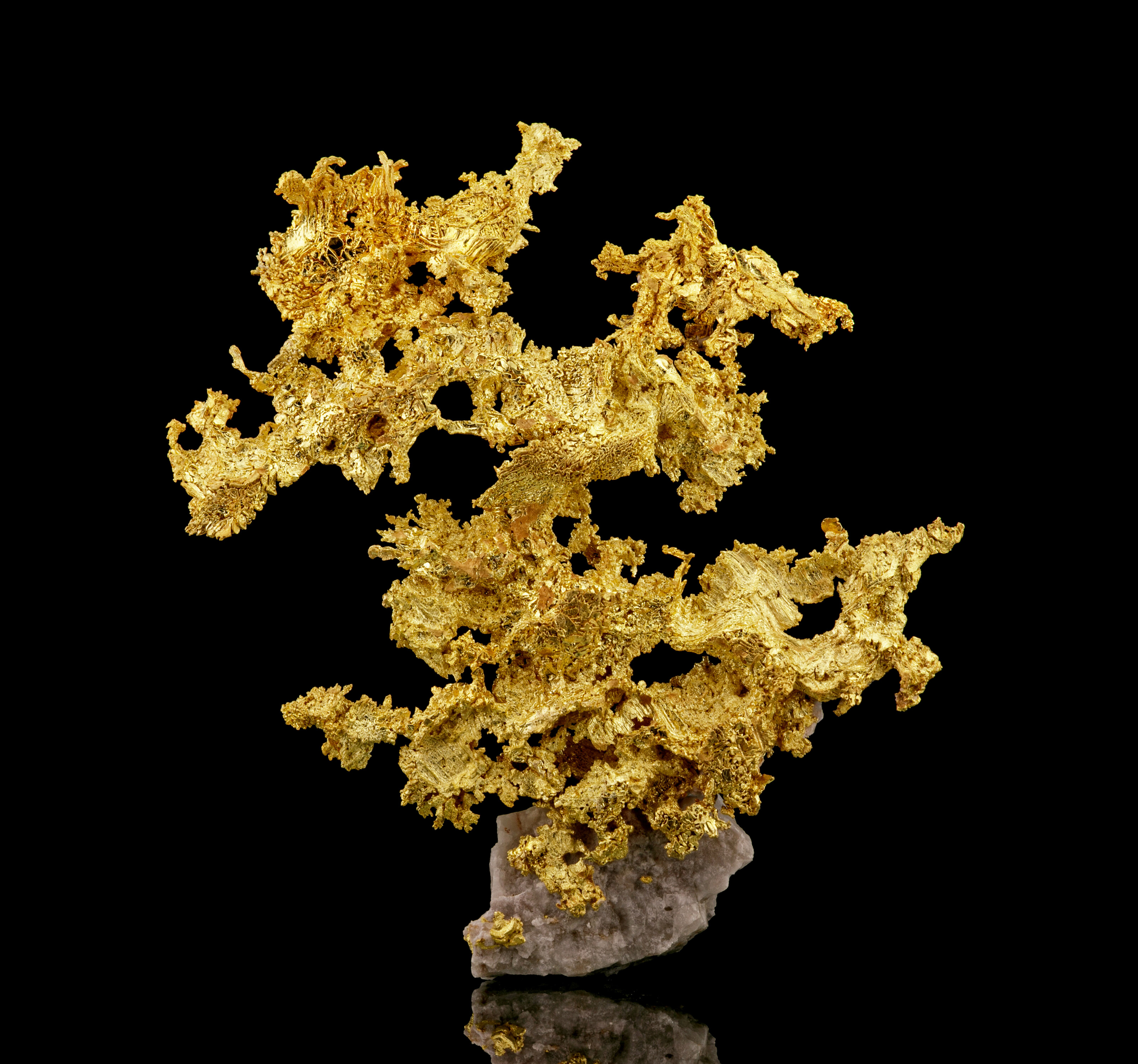 AESTHETIC CRYSTALIZED GOLD FROM THE MARC WEILL COLLECTION, Eagle's