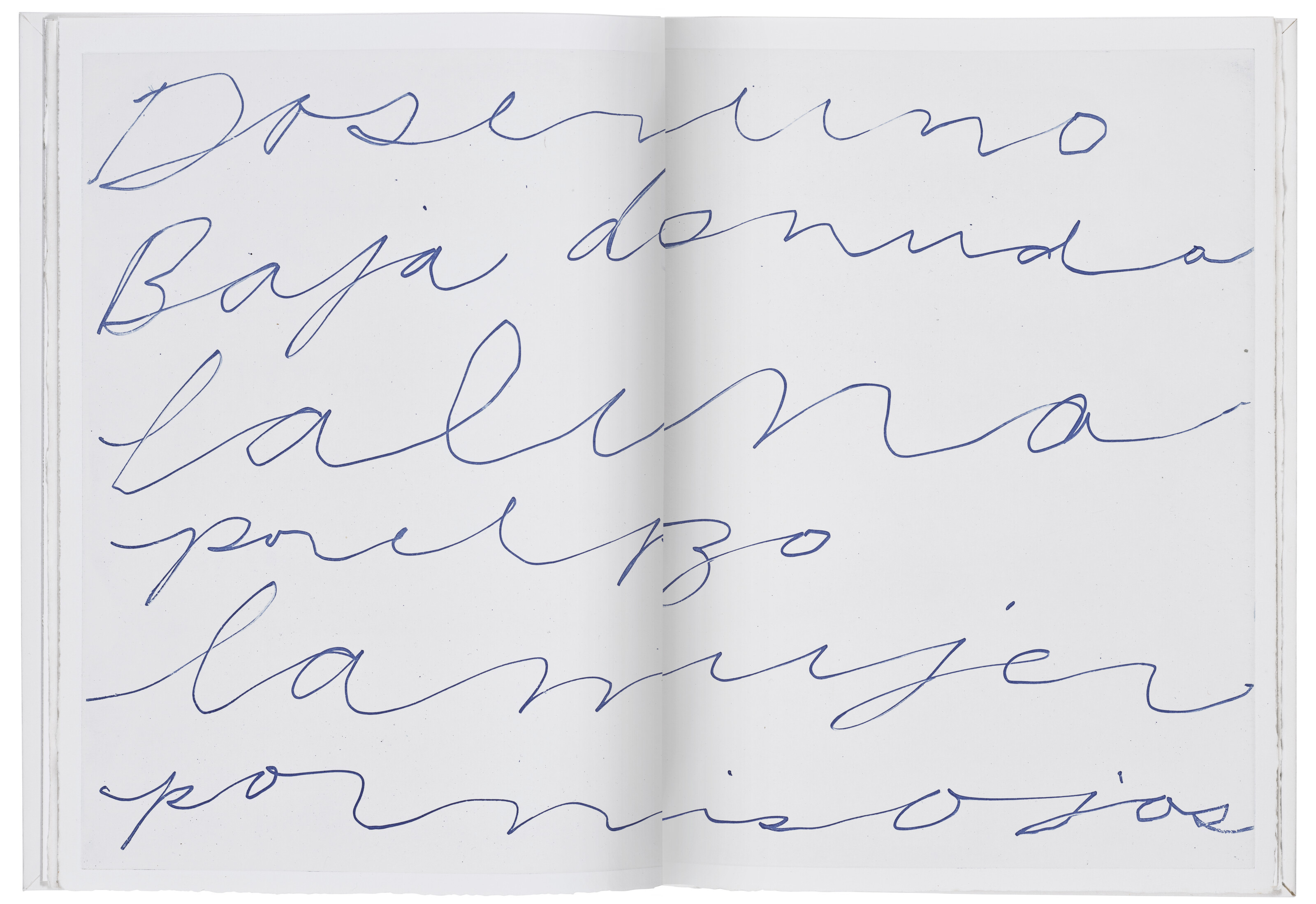 Octavio Paz, Eight Poems, Cy Twombly, Ten Drawings