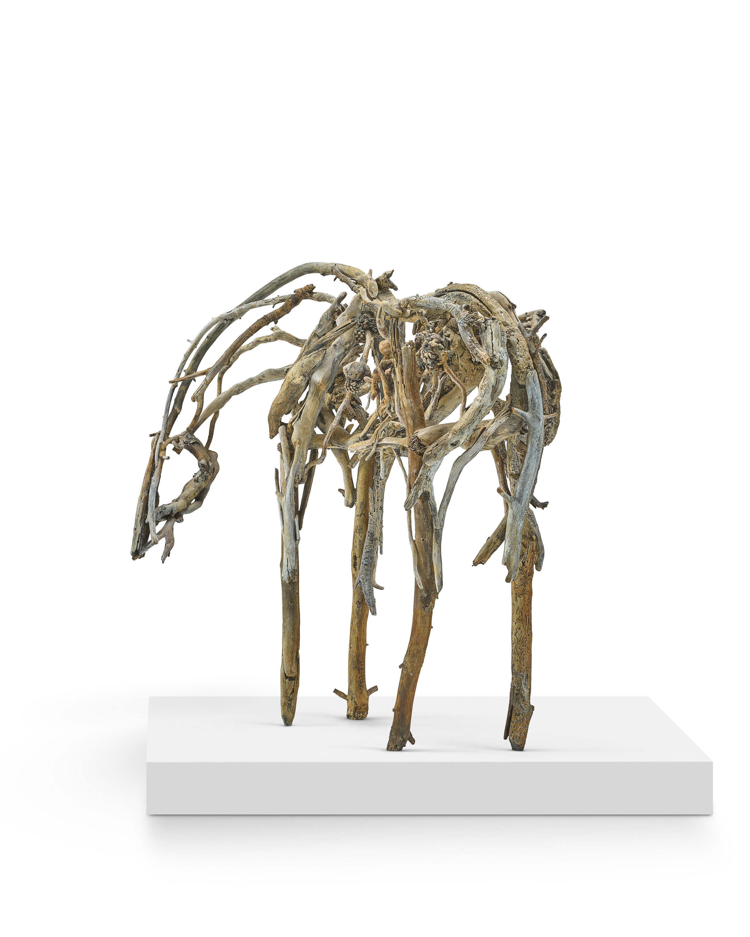 DEBORAH BUTTERFIELD (B. 1949) image 2