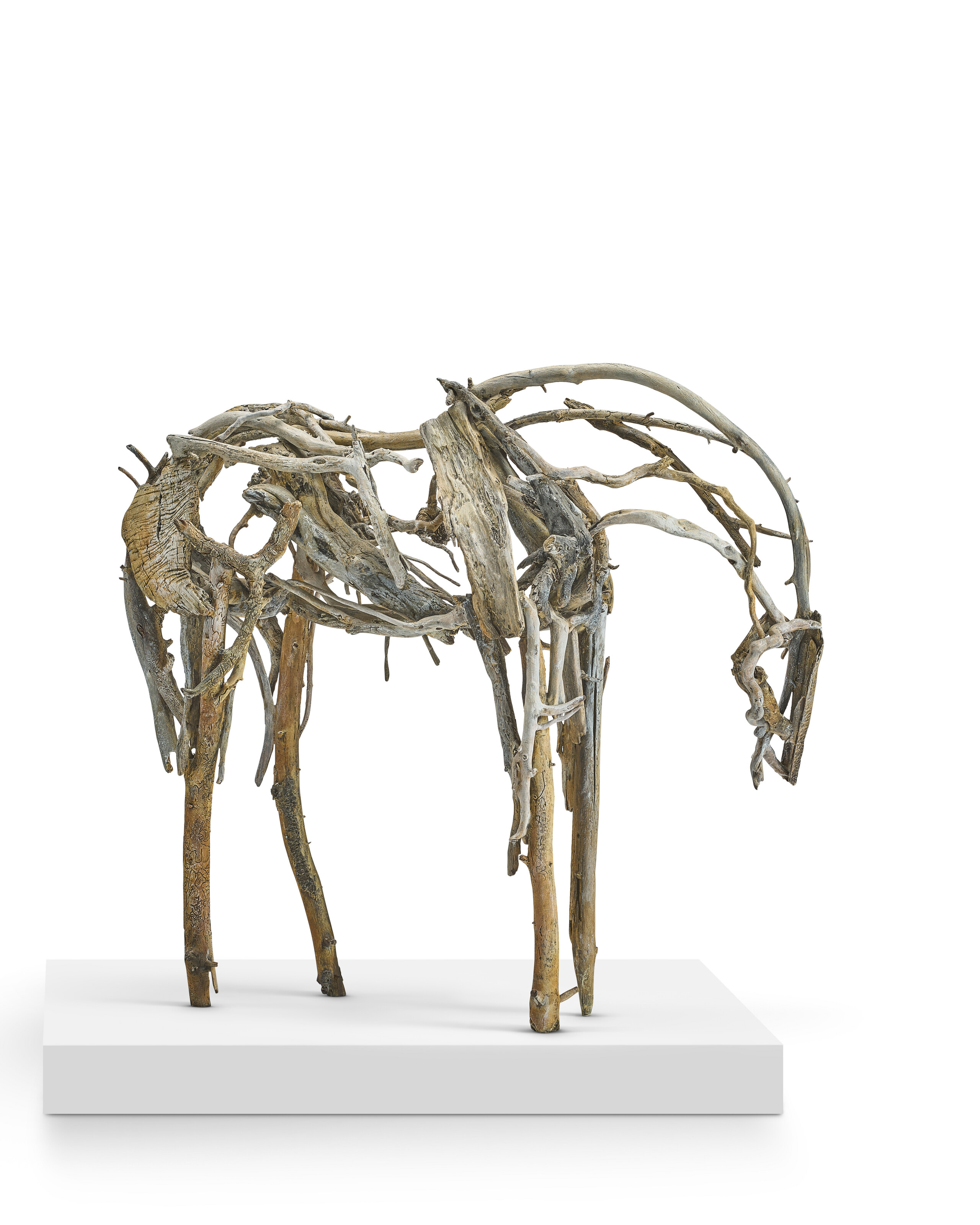 DEBORAH BUTTERFIELD (B. 1949) image 4