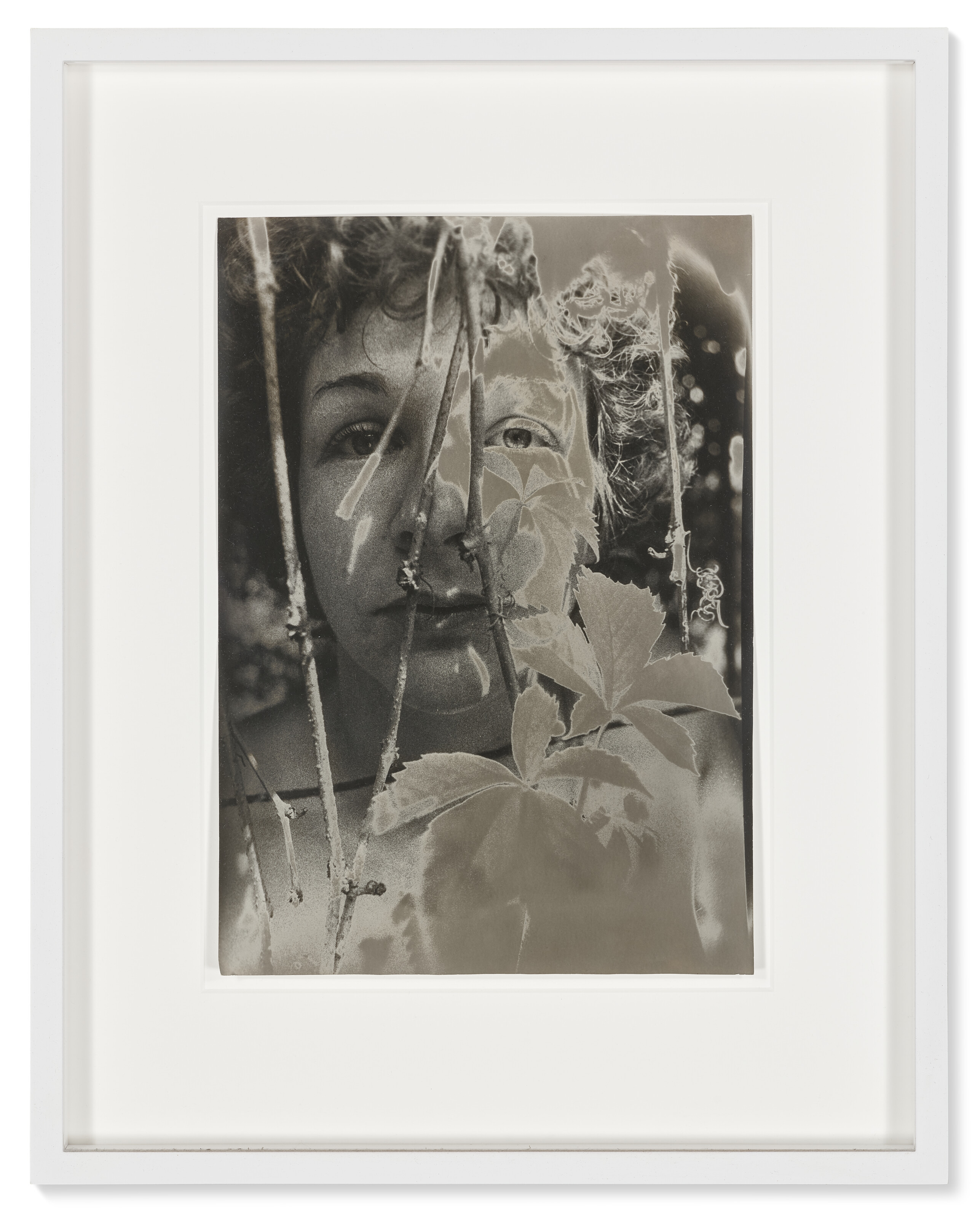 SIGMAR POLKE (1941-2010) image 14