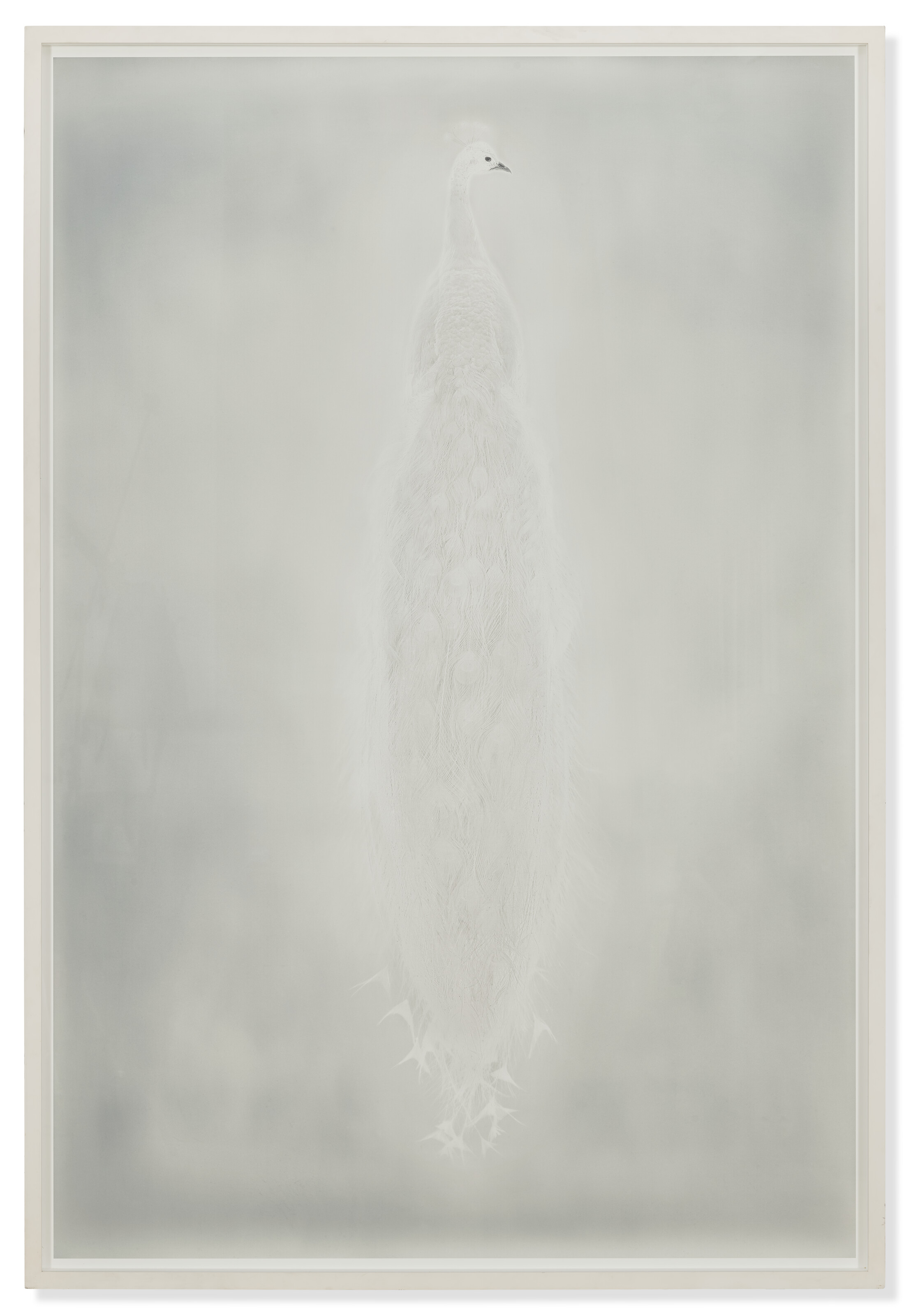 ADAM FUSS (B. 1961) image 2