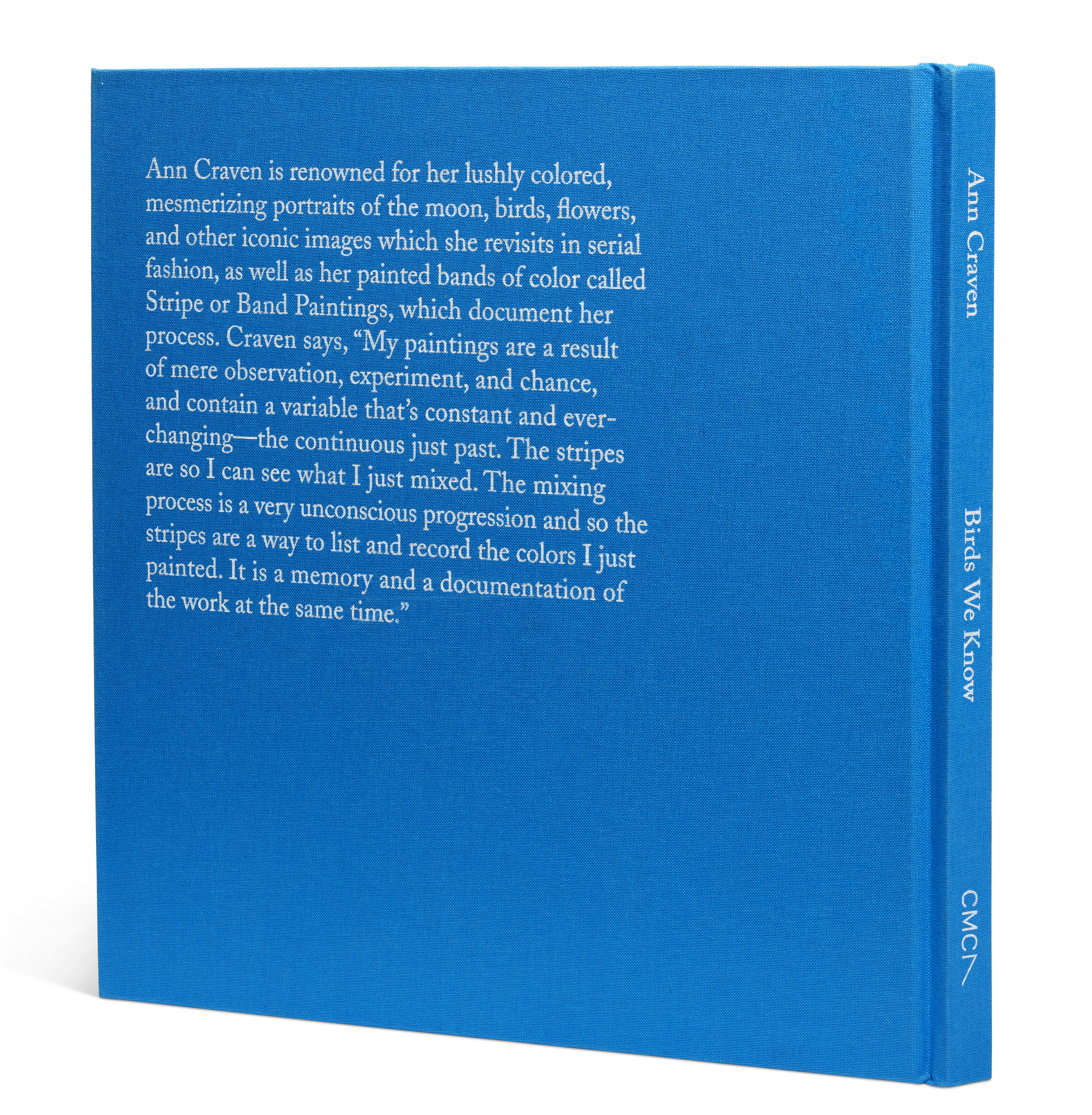 ANN CRAVEN (B. 1967) image 2