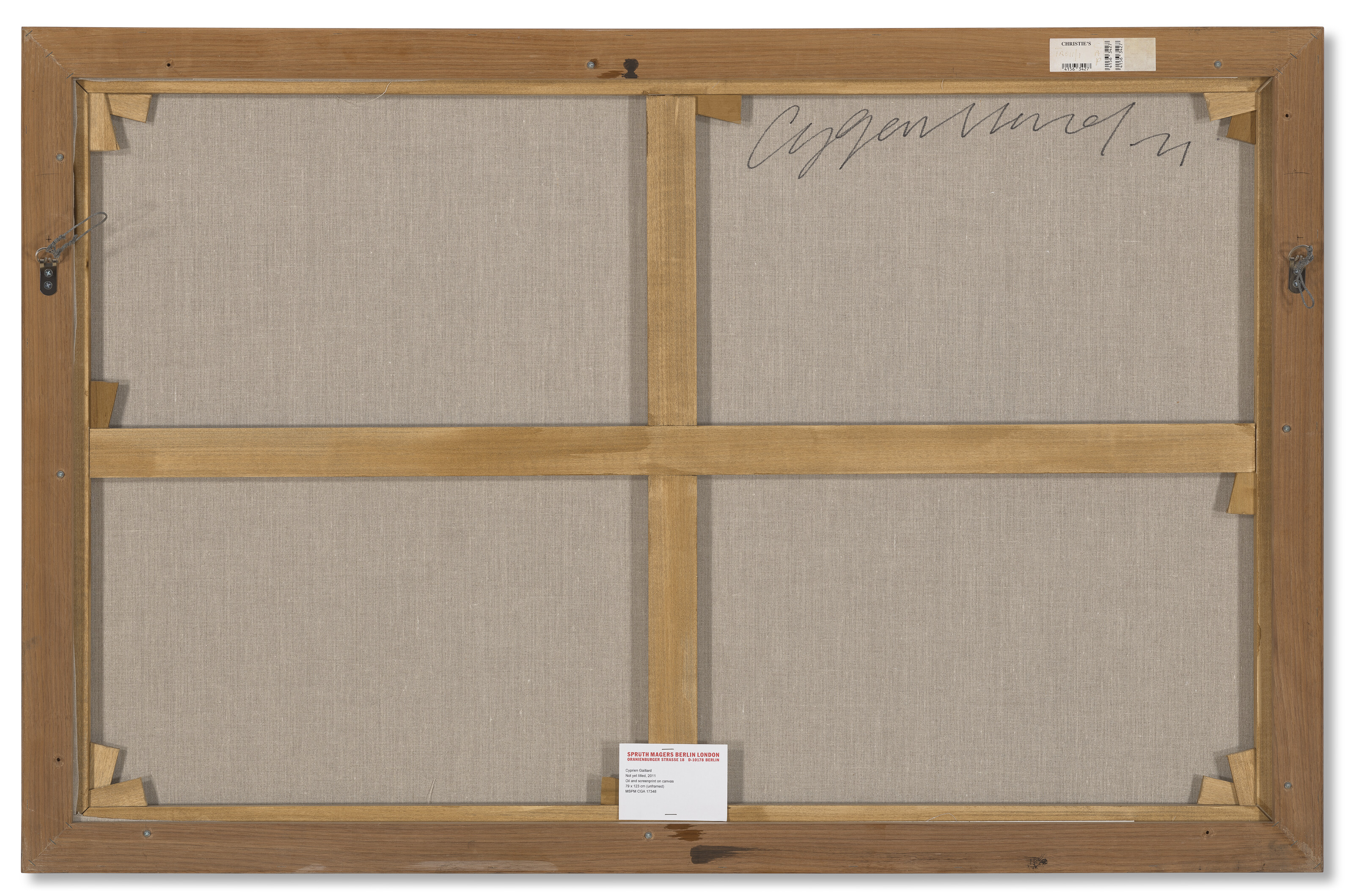 CYPRIEN GAILLARD (B. 1980) image 3