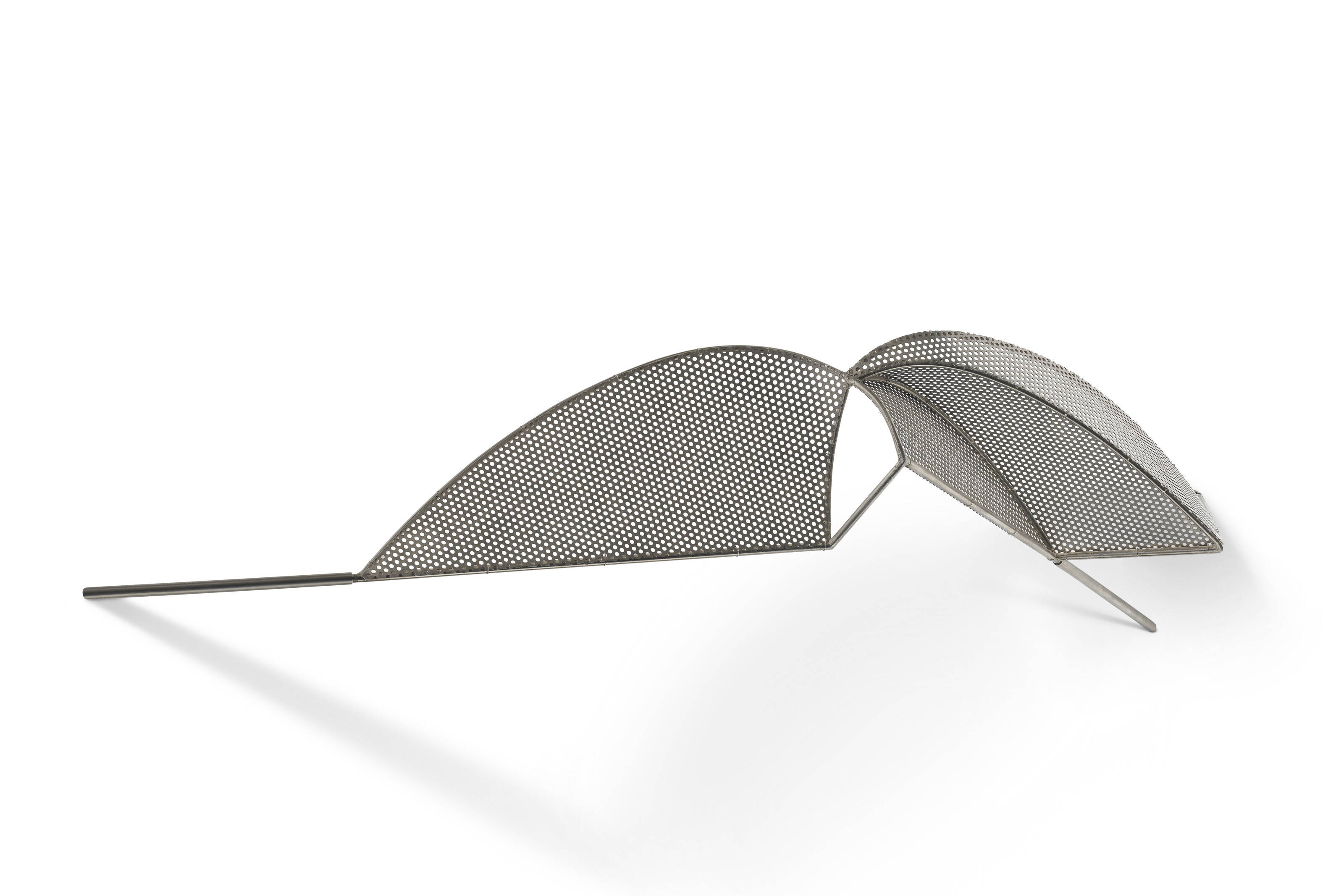 BLANCA MUÑOZ (b. 1963) image 2