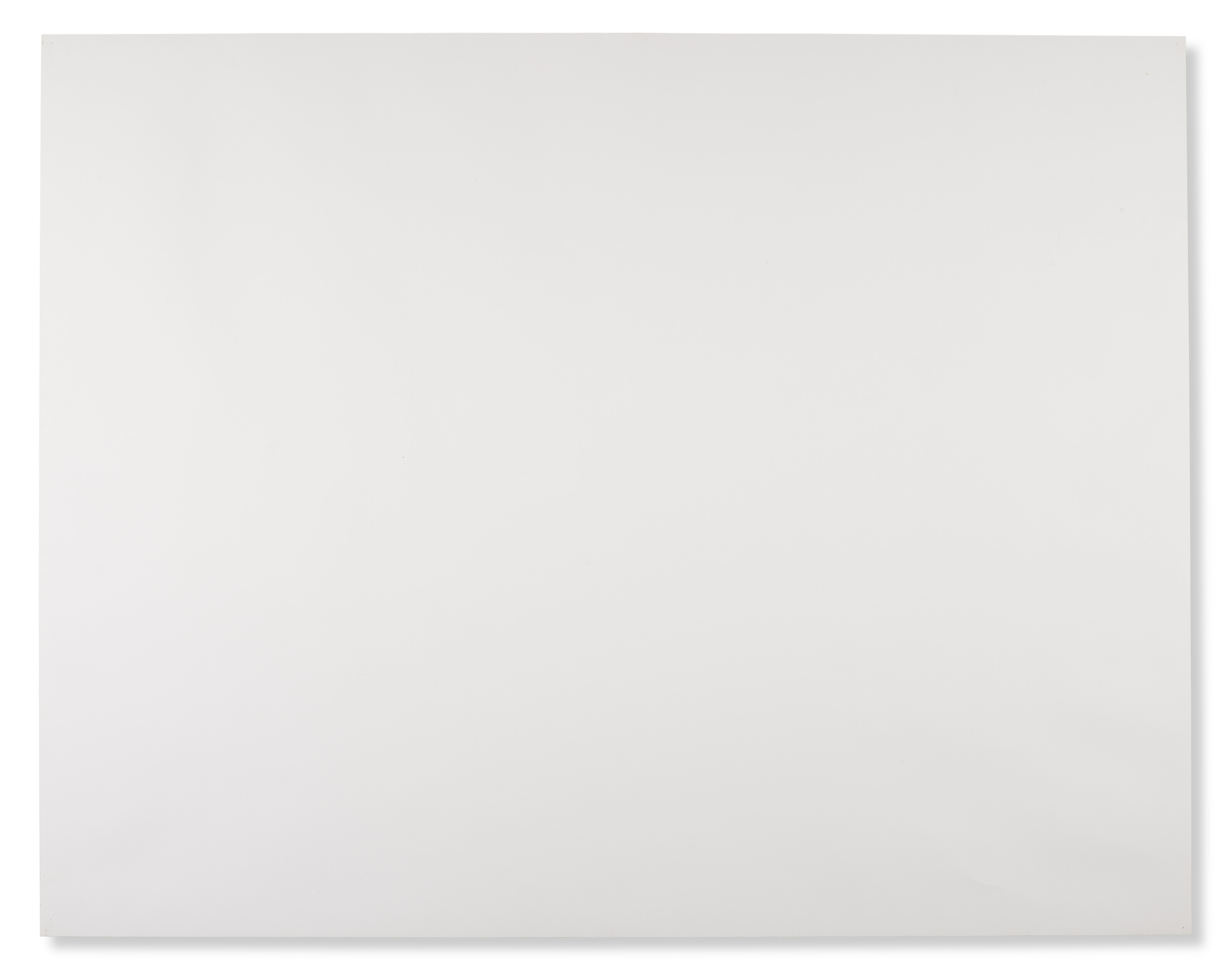 TOM FRIEDMAN (B. 1965) image 2