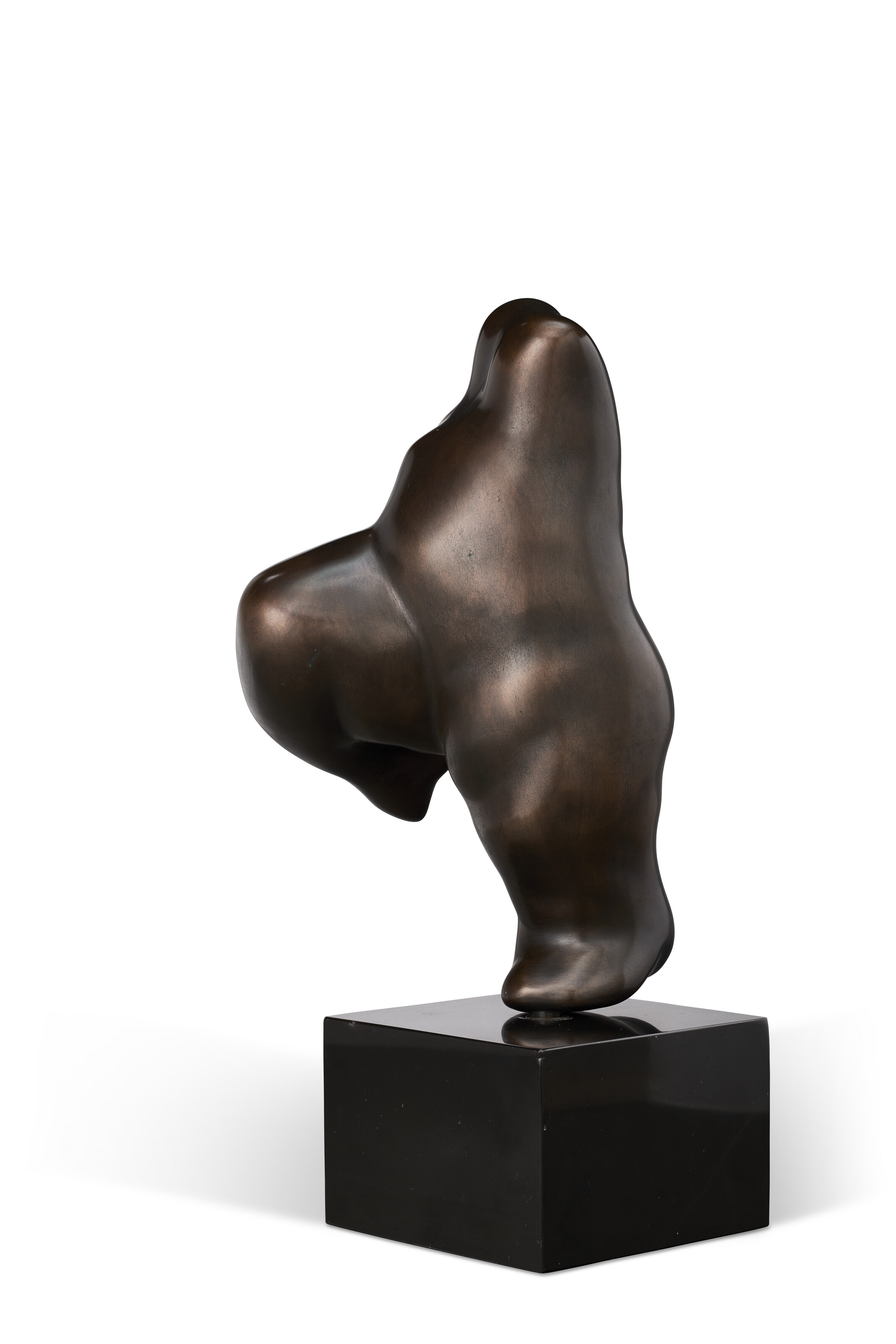 SOPHIA VARI (1940-2023) image 3