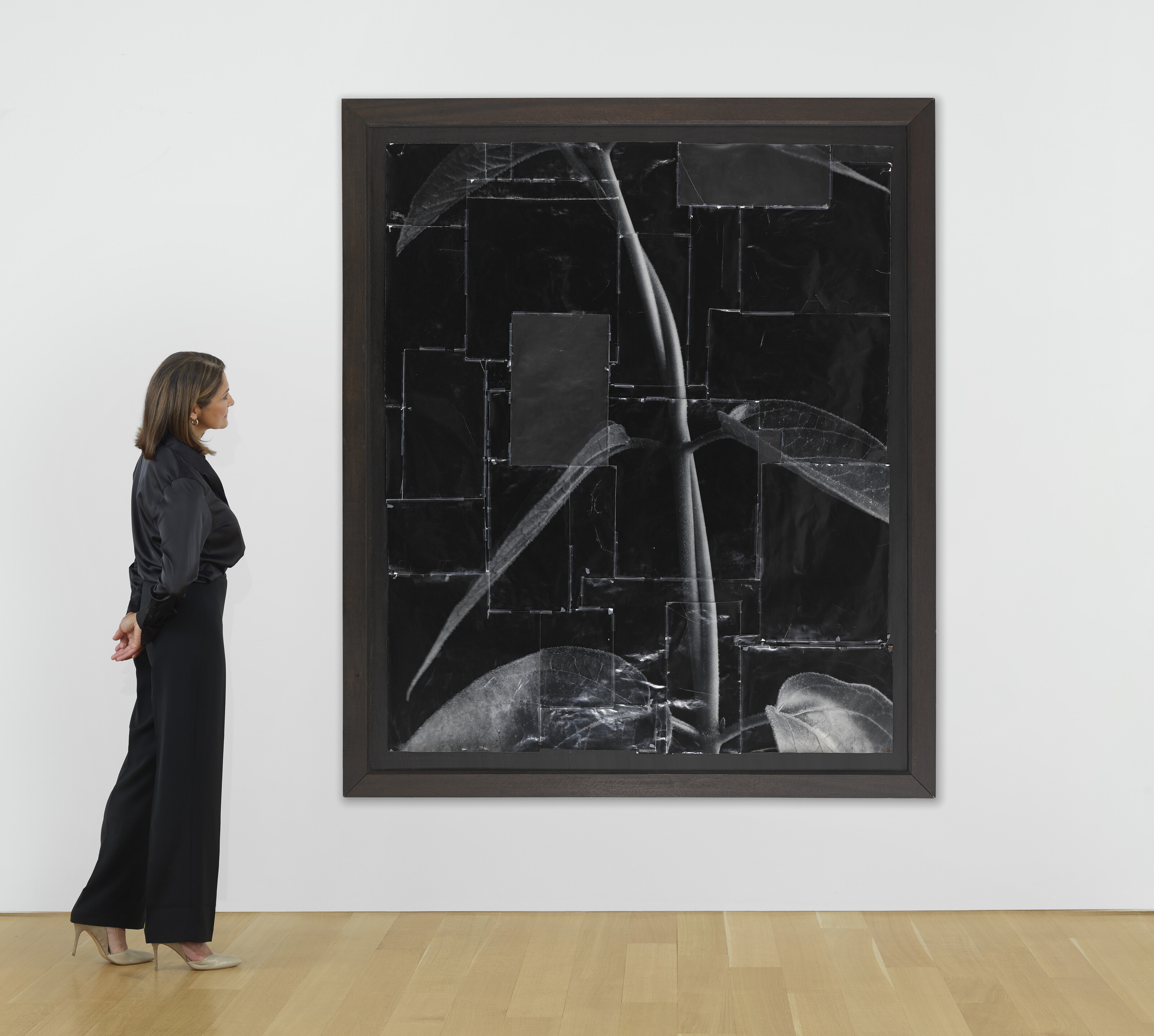 MIKE AND DOUG STARN (B. 1961) image 3