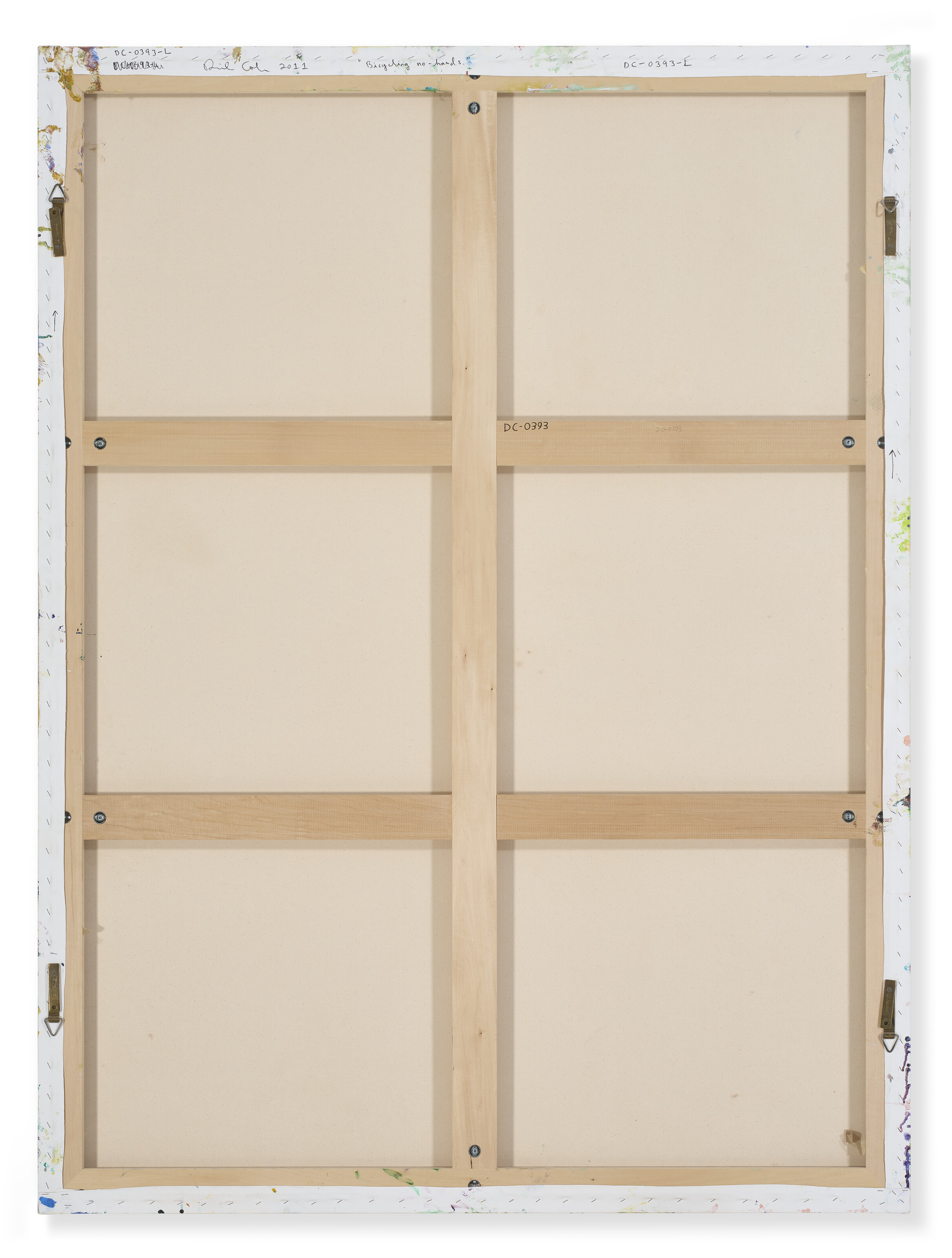 DAN COLEN (B. 1979) image 3