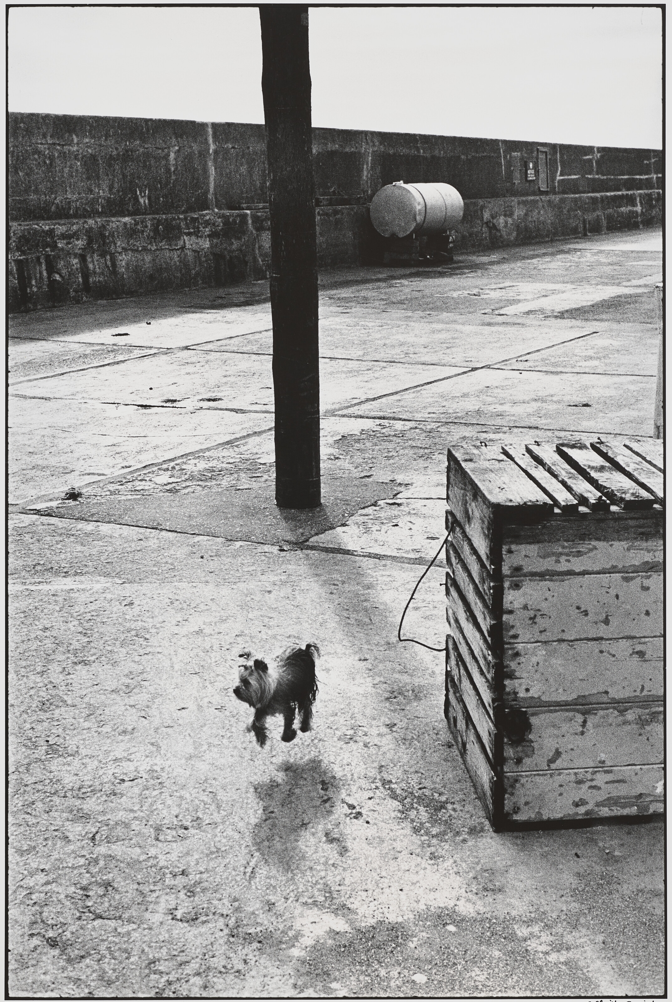 Catalog image of Ballycotton, Ireland, 1968