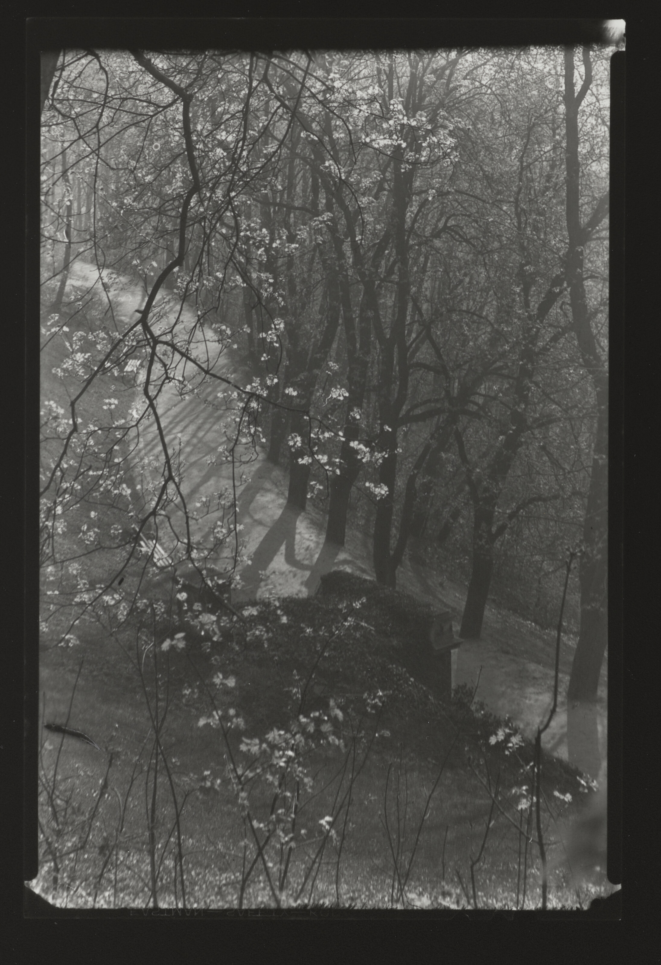 JOSEF SUDEK (1896-1976), Untitled (Walkway through Park), c. 1940s