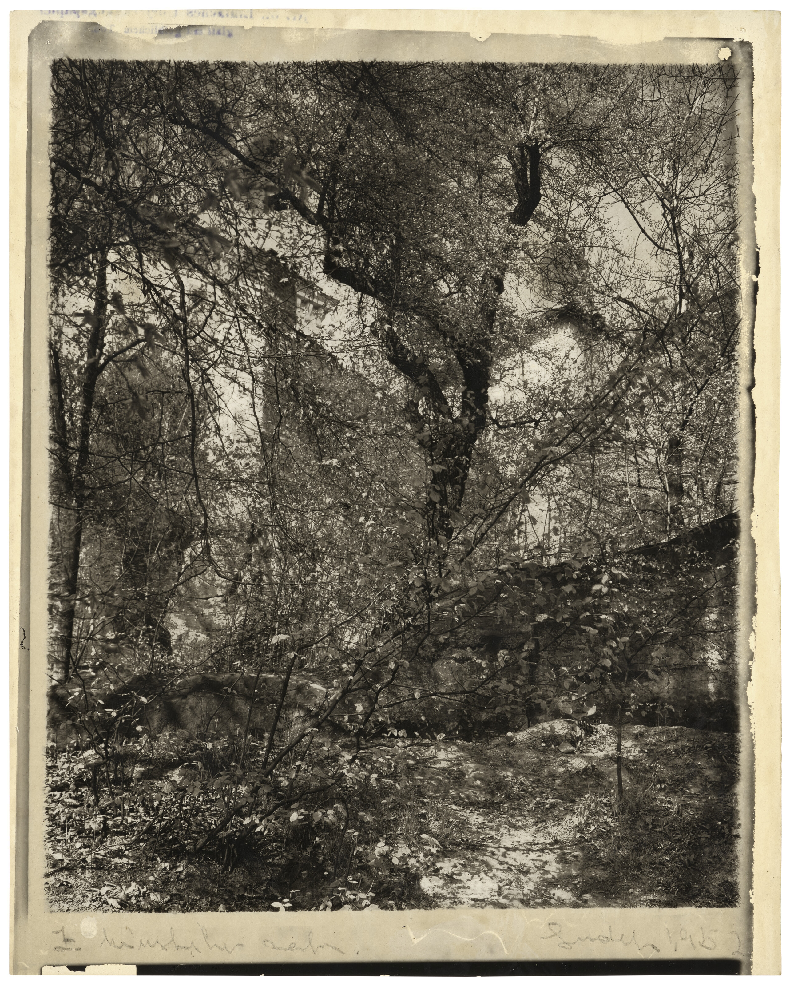 JOSEF SUDEK (1896–1976), A Walk through Kinský Garden, Prague, c