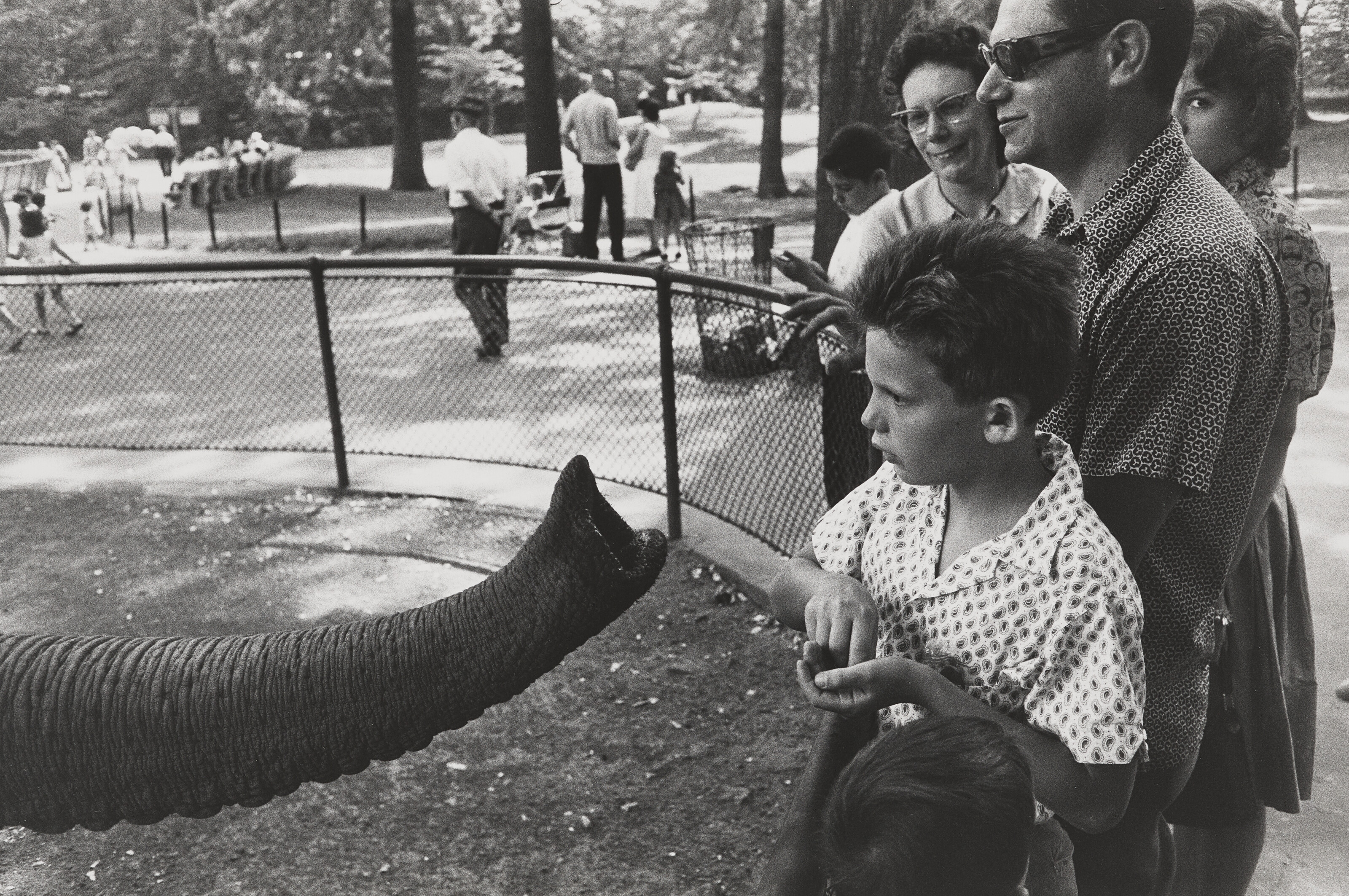 GARRY WINOGRAND (1928-1984), Bronx Zoo, New York, 1963 | Christie's
