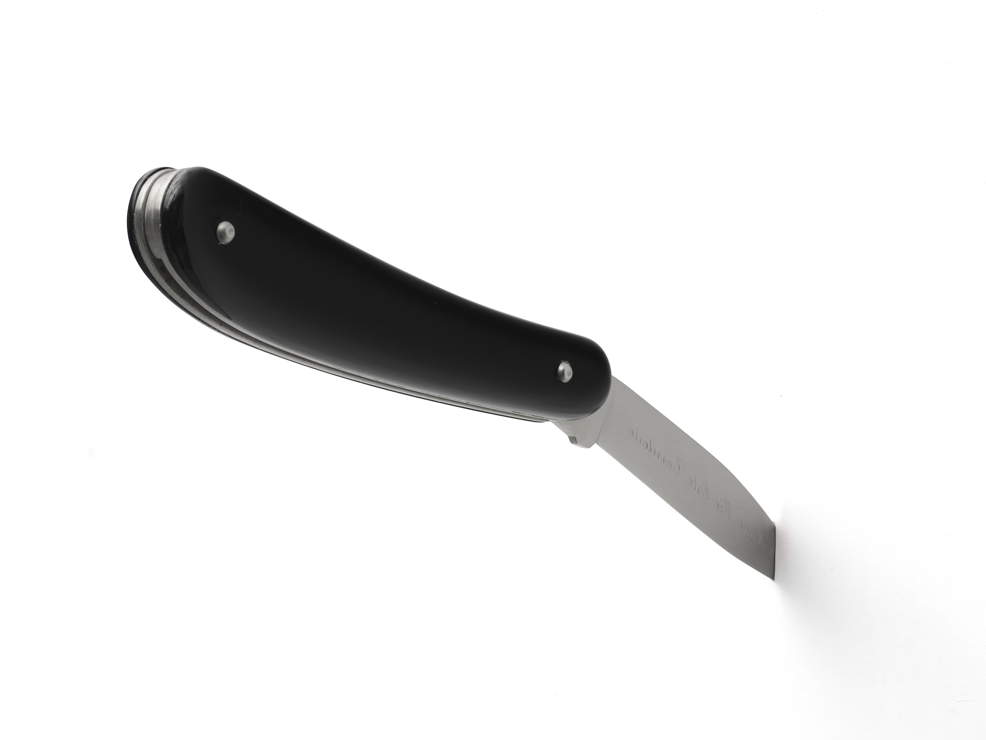 MANUELA RIBADENEIRA (B. 1966) image 3