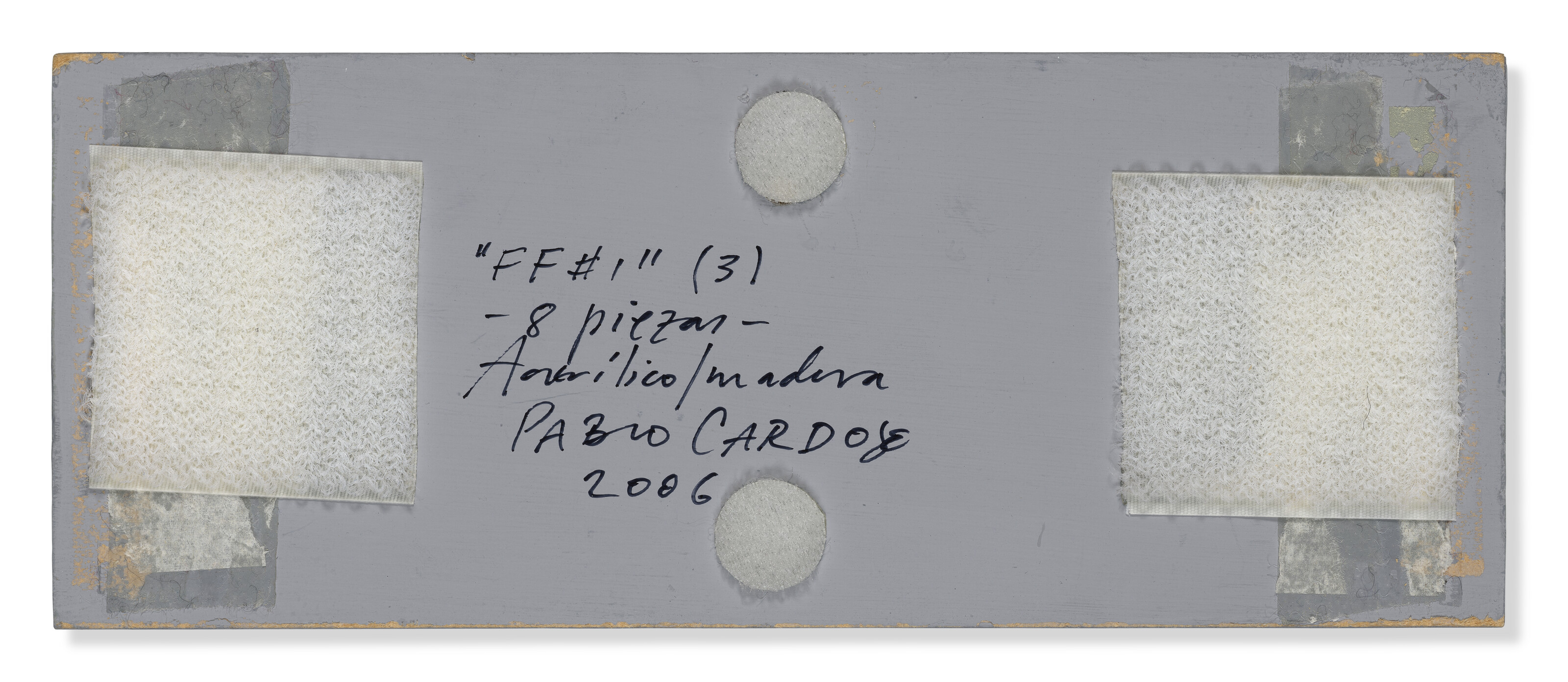 PABLO CARDOSO (B. 1965) image 13